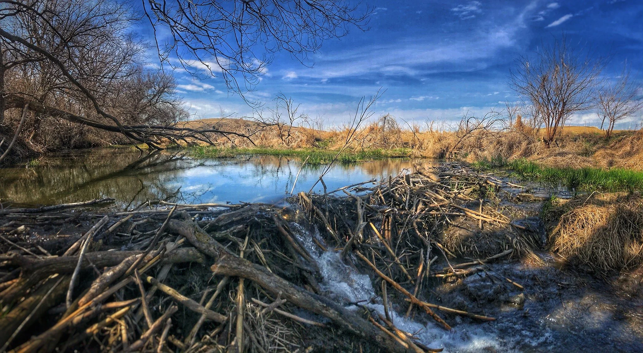 Beaver Dam Analogs (BDA): A Hands-On Approach to Iowa Steam Restoration ...