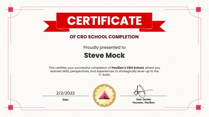 CRO (Chief Revenue Office) School