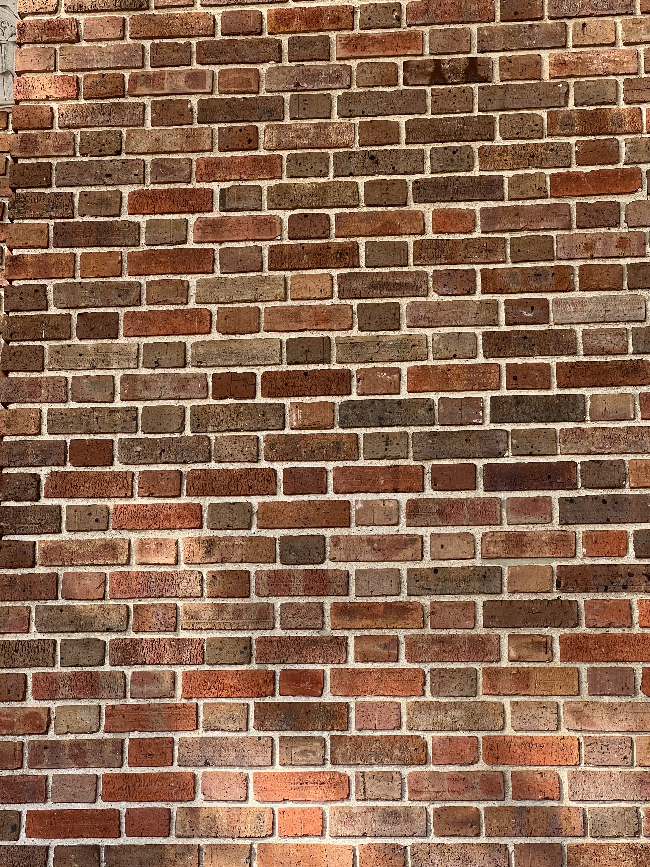 IMG_3943.jpeg