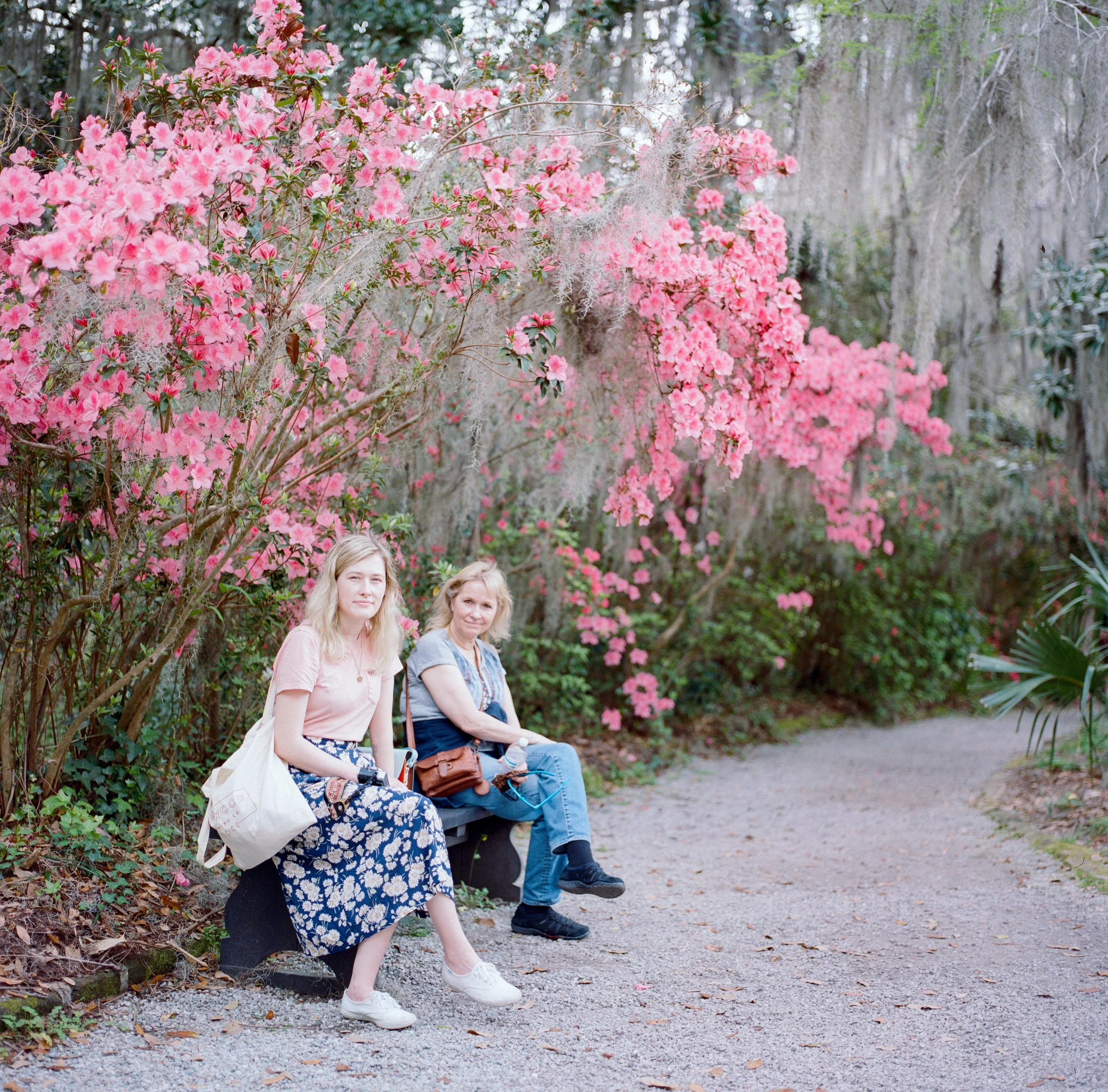 My Hasselblad's 2021 Travel Diary — Casey Lee Cole | Photographer