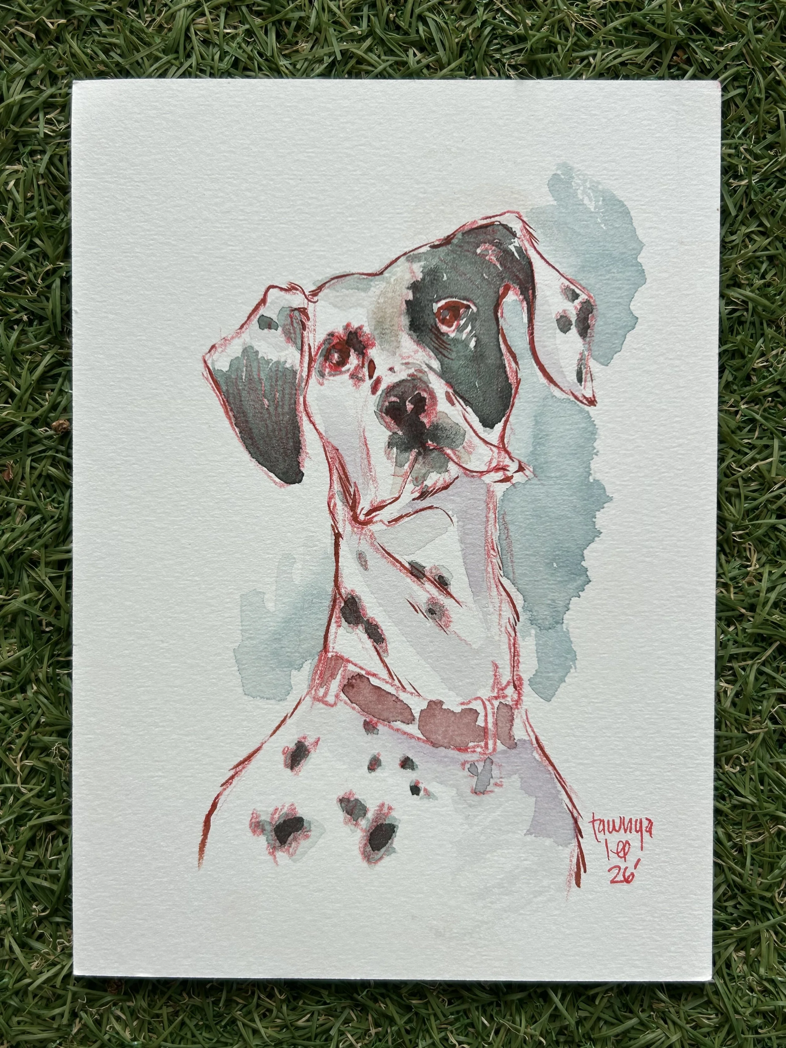 tawnya-lee-hudnell-pet-pawtrait-watercolor-art-dog-dalmation-spotted.jpeg
