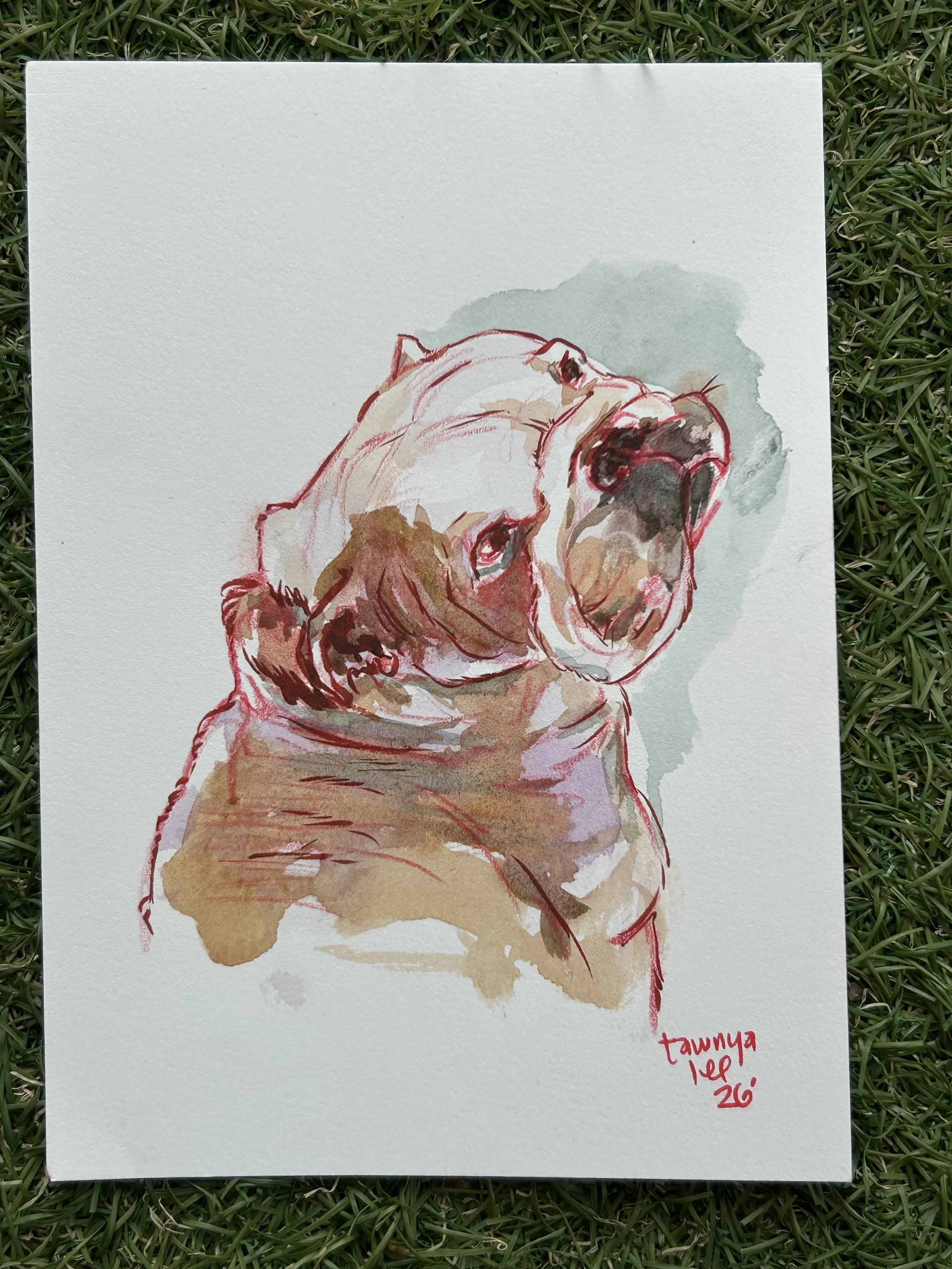 tawnya-lee-hudnell-pet-pawtrait-watercolor-art-dog.jpeg