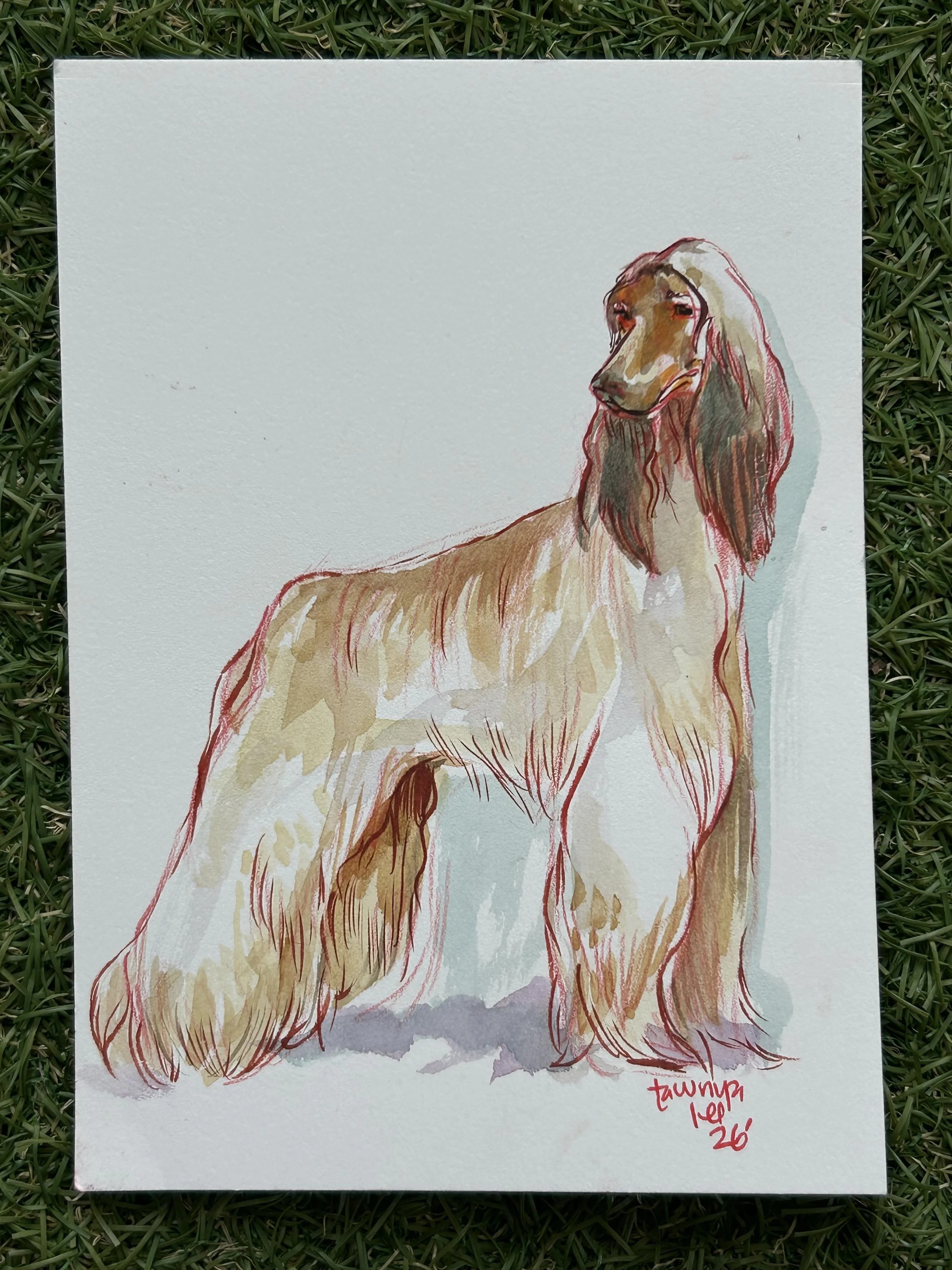 tawnya-lee-hudnell-pet-pawtrait-watercolor-art-dog-long-hair.jpeg