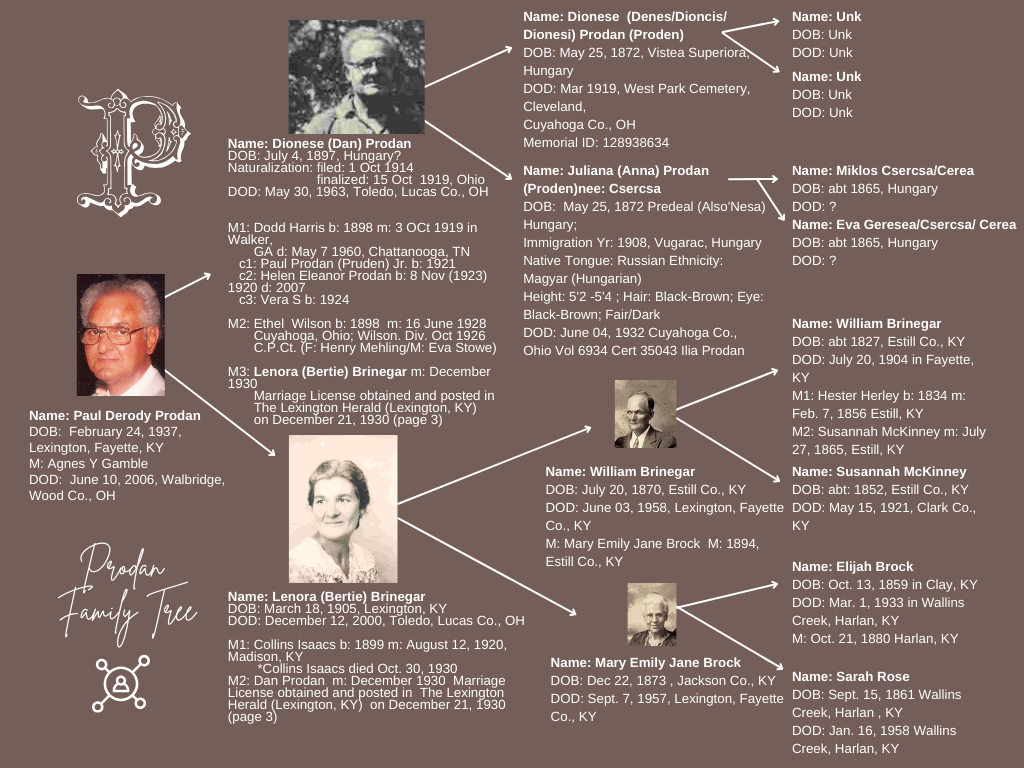 Prodan Family Tree Chart.png