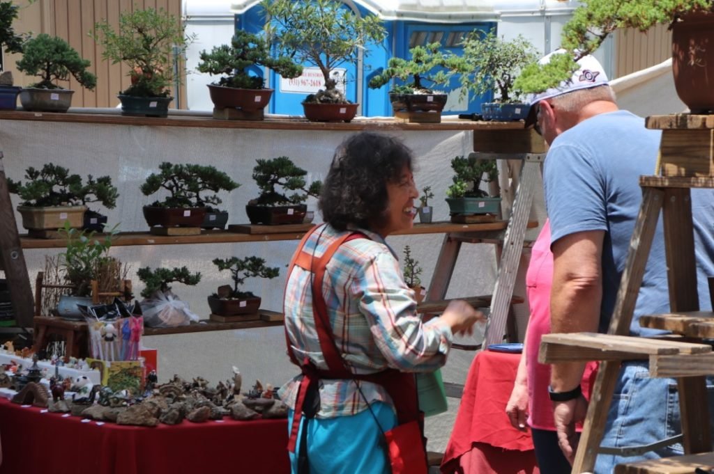 MONTEAGLE MOUNTAIN MARKET — South Cumberland Chamber of Commerce