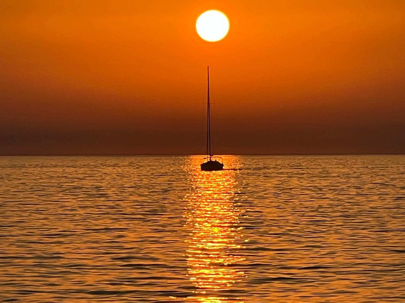 WhatsApp Image 2026-04-12 at 13.49.33.jpeg