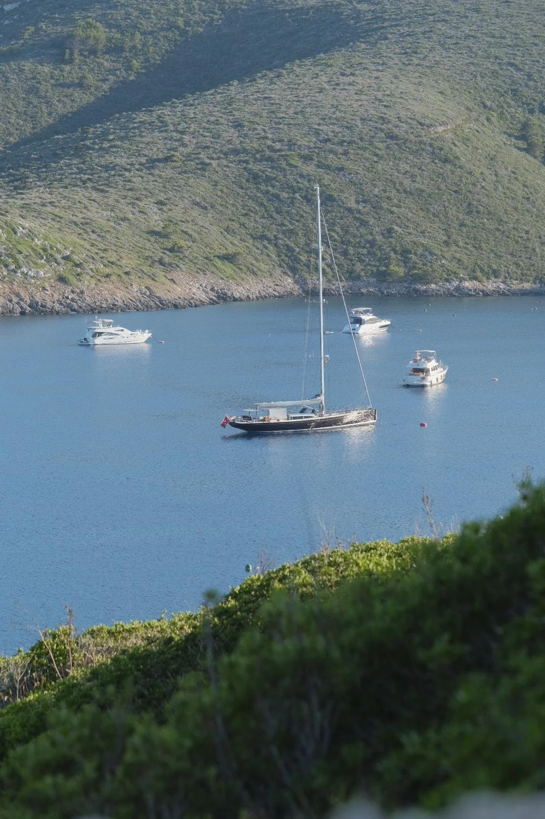 WhatsApp Image 2026-04-12 at 13.49.34.jpeg