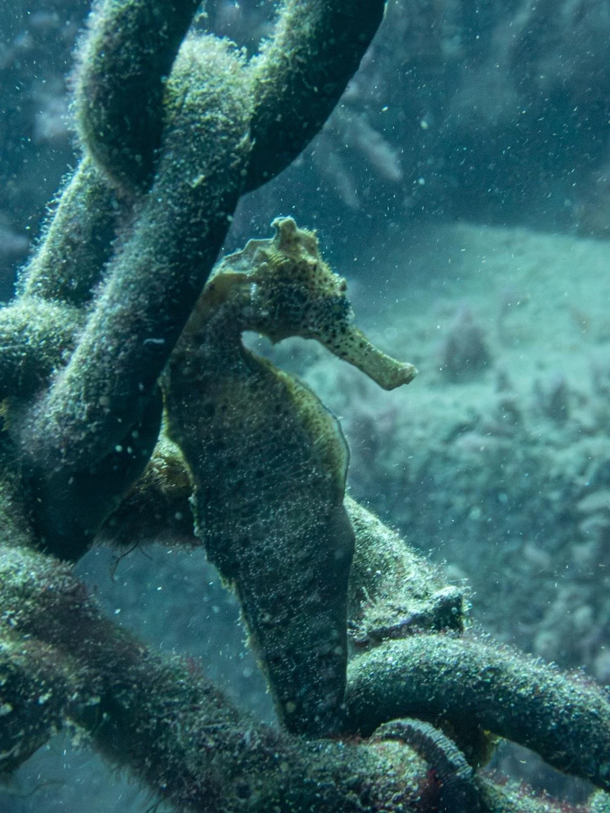 WhatsApp Image 2026-04-12 at 13.49.35 (3).jpeg