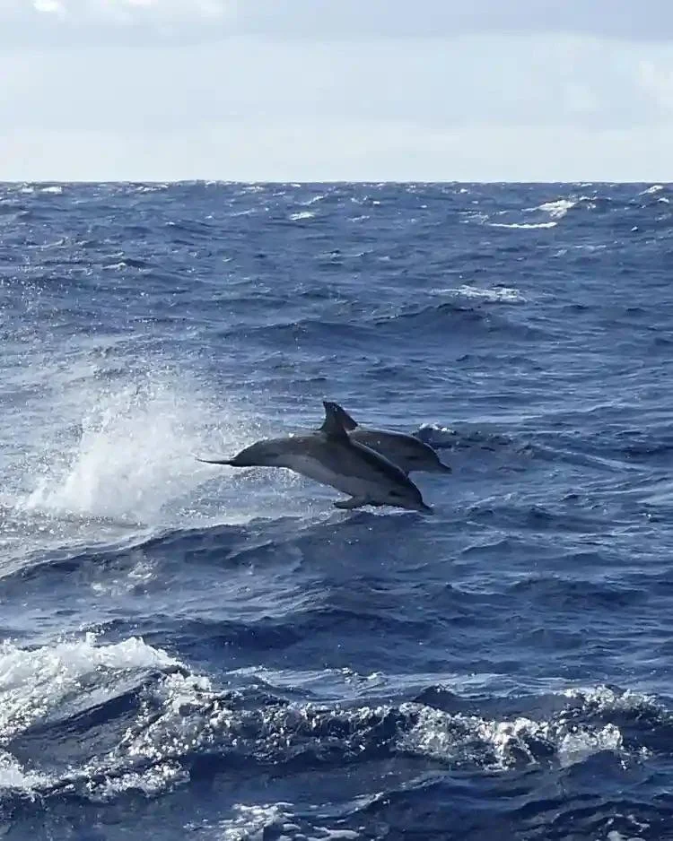 WhatsApp Image 2026-04-12 at 13.49.35 (4).jpeg