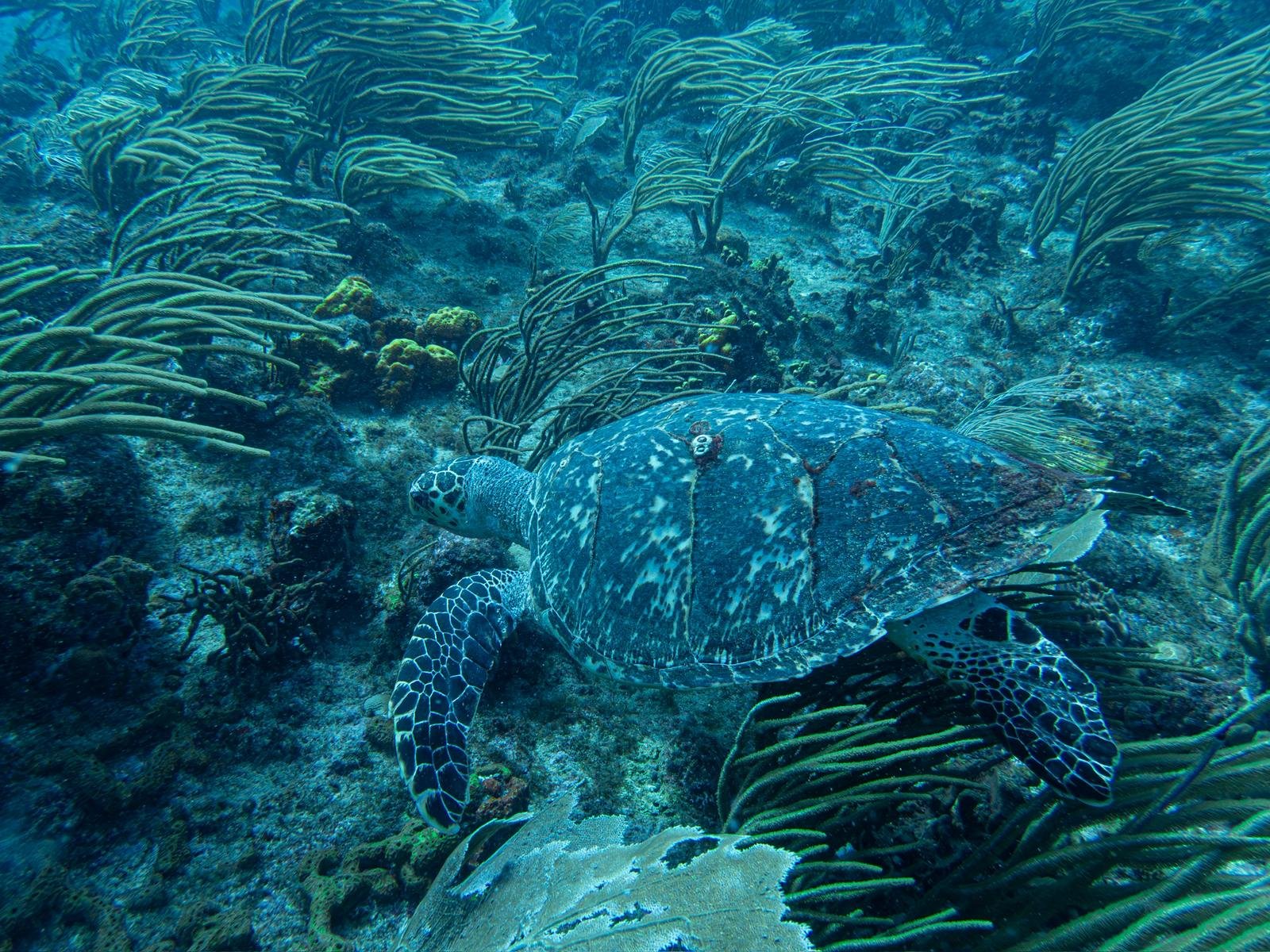 WhatsApp Image 2026-04-12 at 13.49.35 (5).jpeg