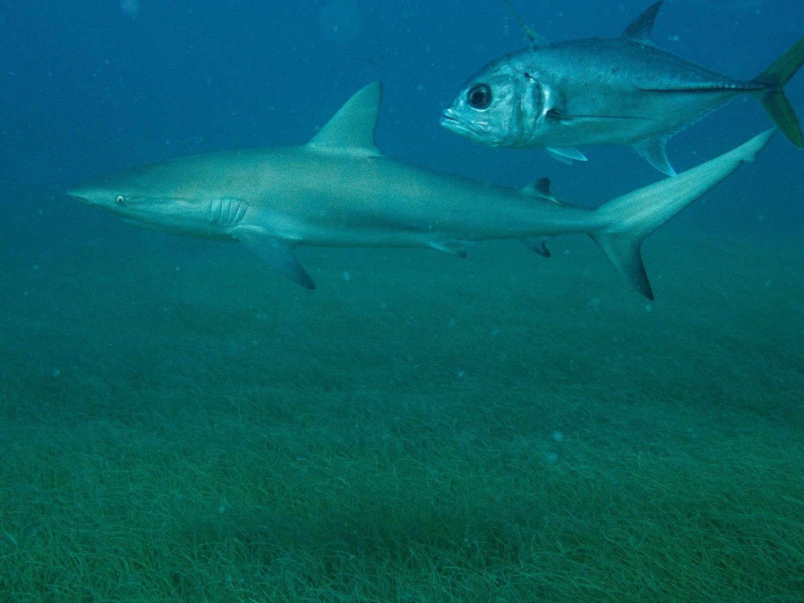 WhatsApp Image 2026-04-12 at 13.49.35 (6).jpeg