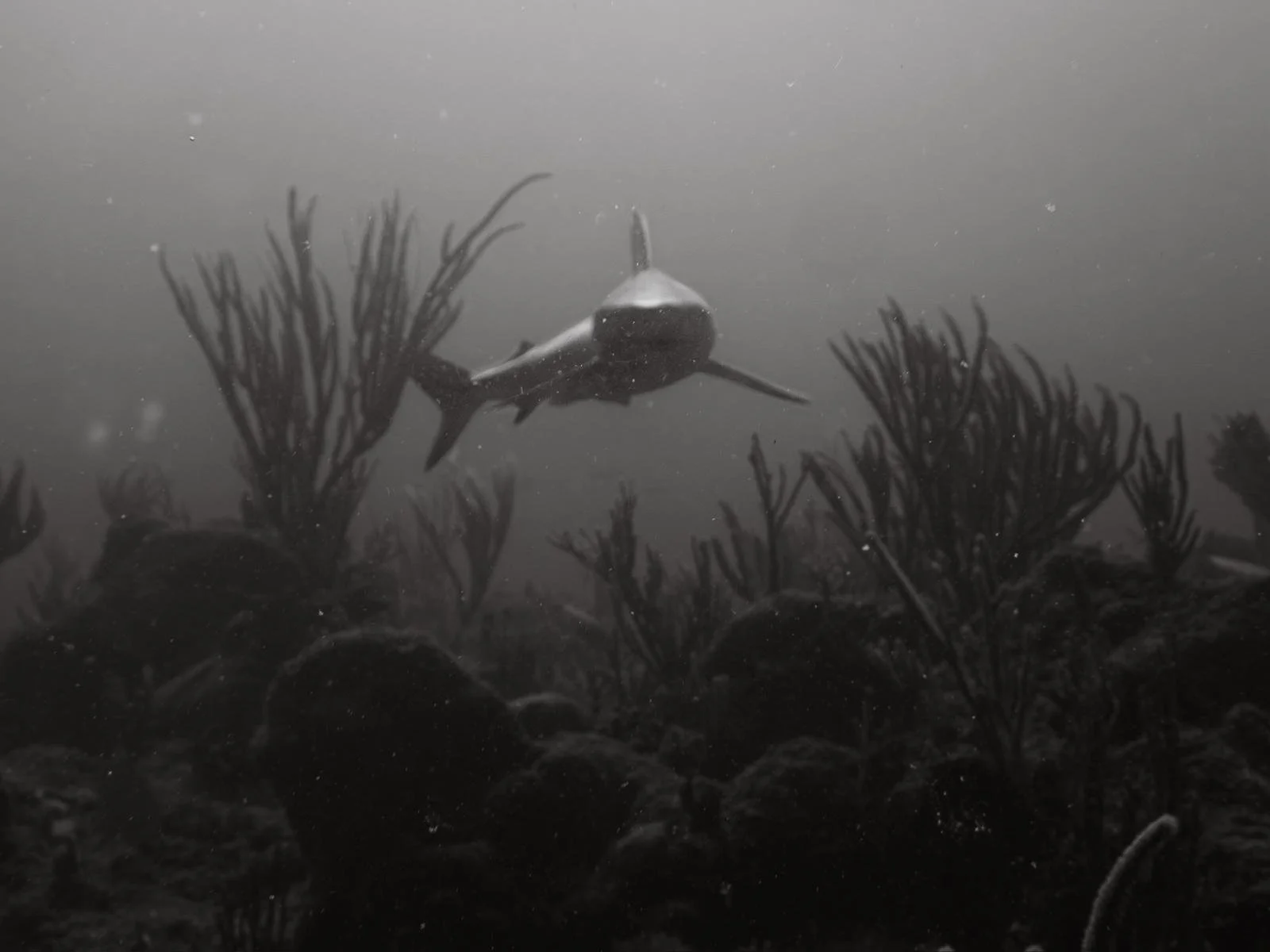 WhatsApp Image 2026-04-12 at 13.49.35 (7).jpeg