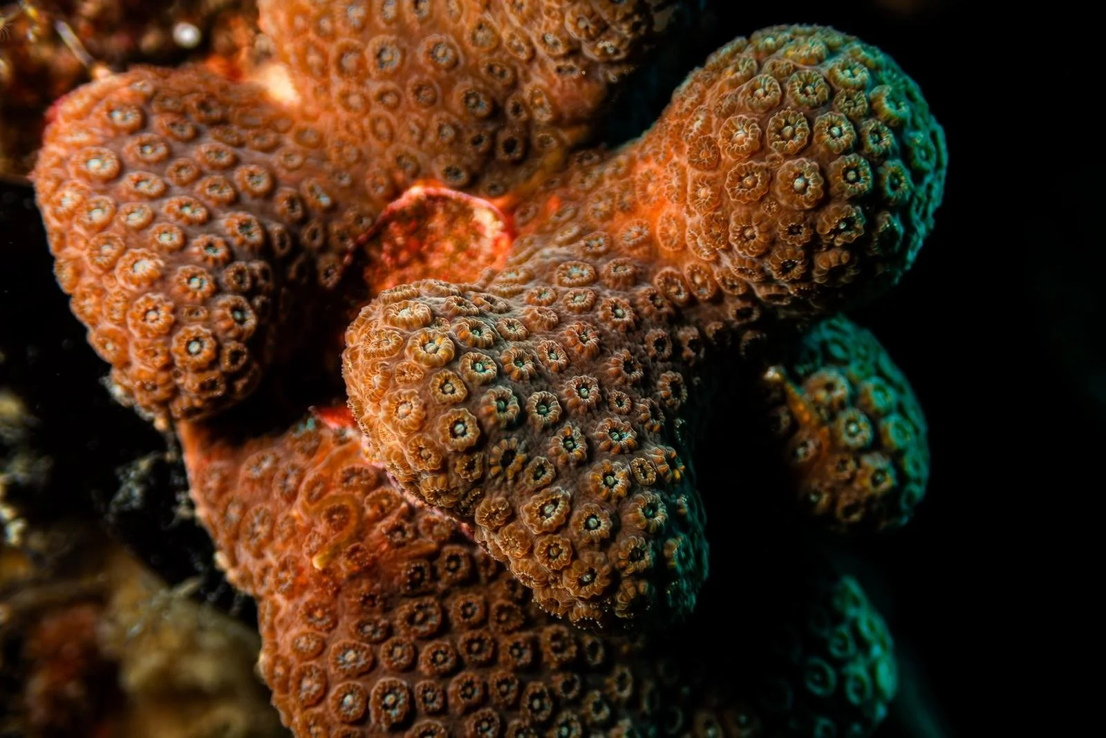 WhatsApp Image 2026-04-12 at 13.49.35 (8).jpeg