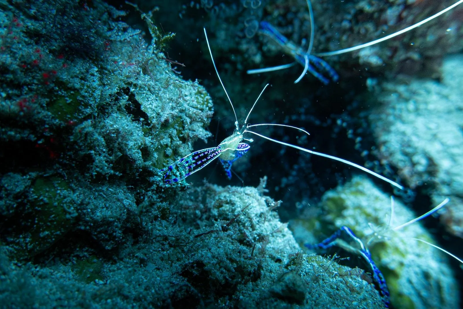 WhatsApp Image 2026-04-12 at 13.49.35 (9).jpeg