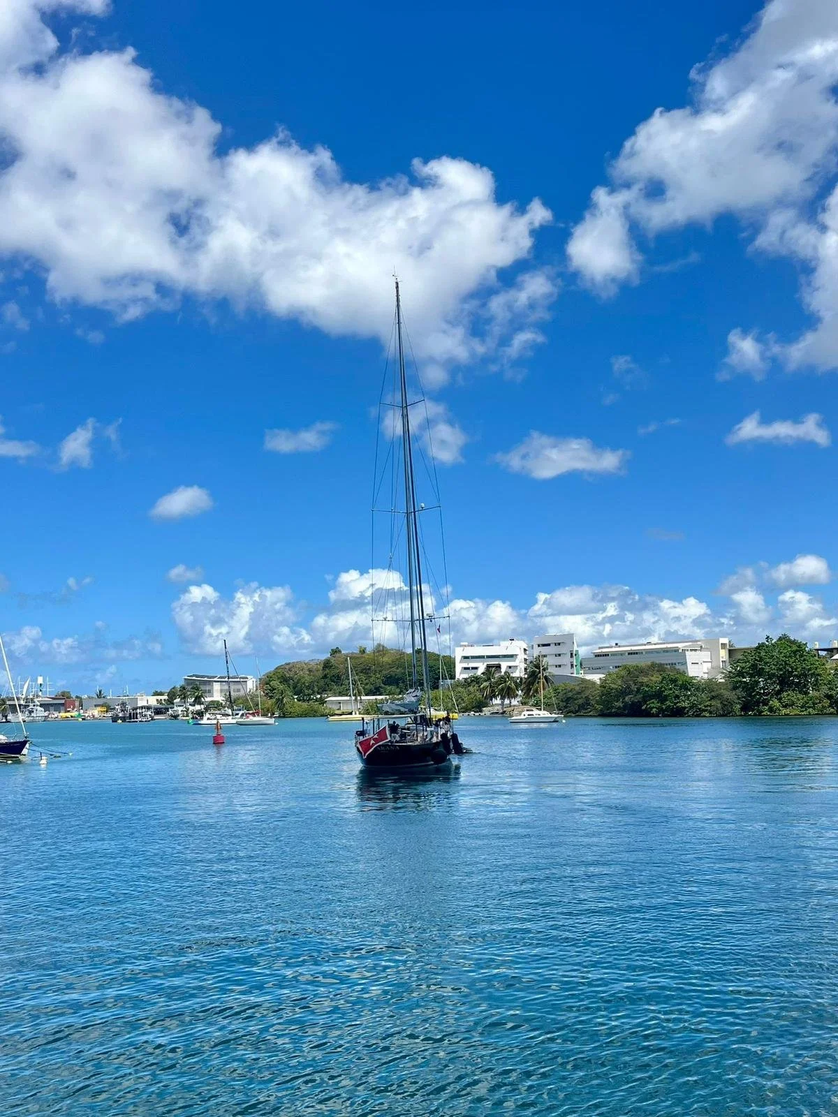 WhatsApp Image 2026-04-12 at 13.49.35 (10).jpeg