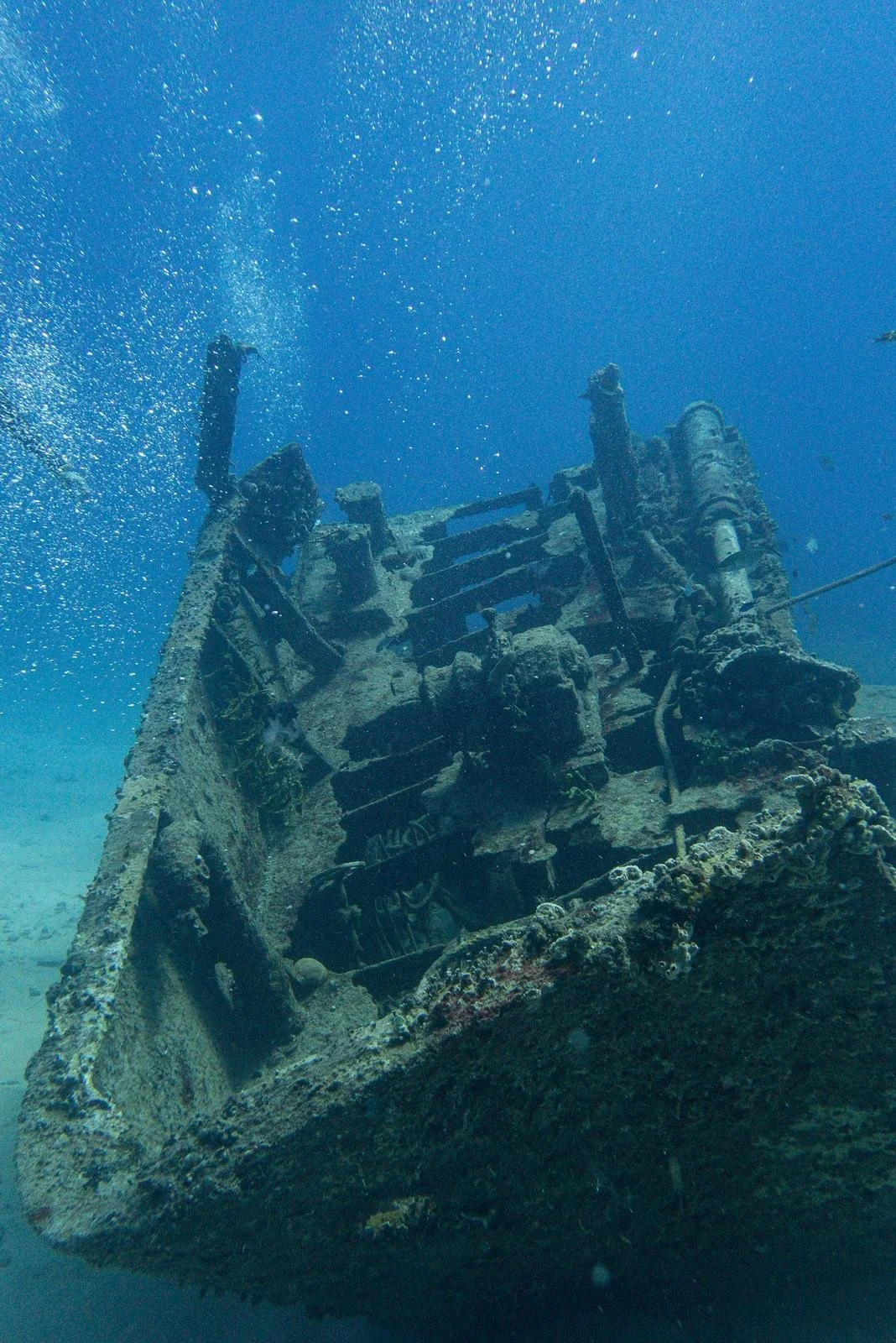 WhatsApp Image 2026-04-12 at 13.49.36.jpeg