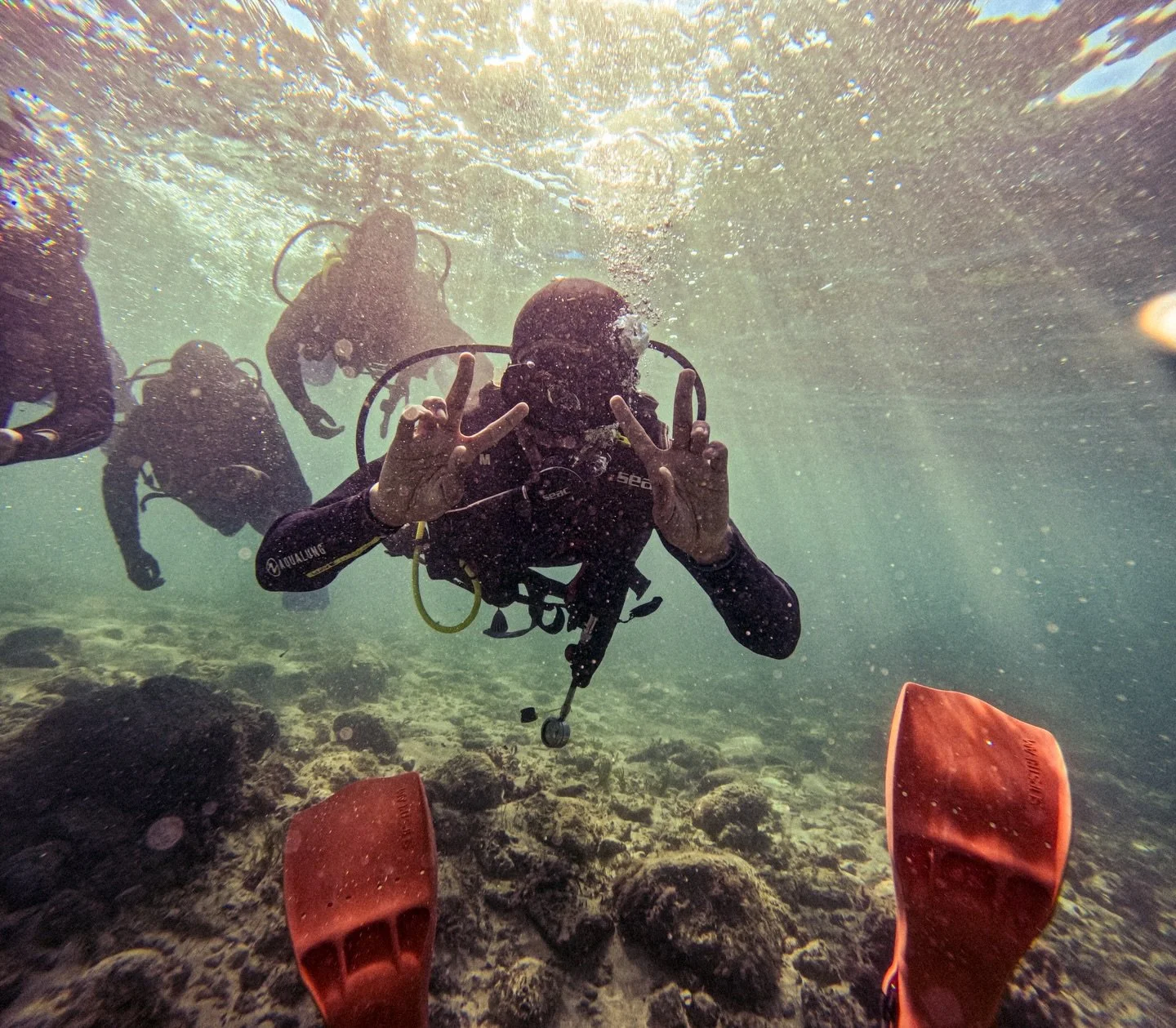 Mallorca is beautiful above the water&hellip; but the real magic is below the surface. 🌊🤿 

Crystal clear Mediterranean water, beautiful flora and incredible marine life waiting to be discovered. 

Whether it&rsquo;s your first dive or you&rsquo;re