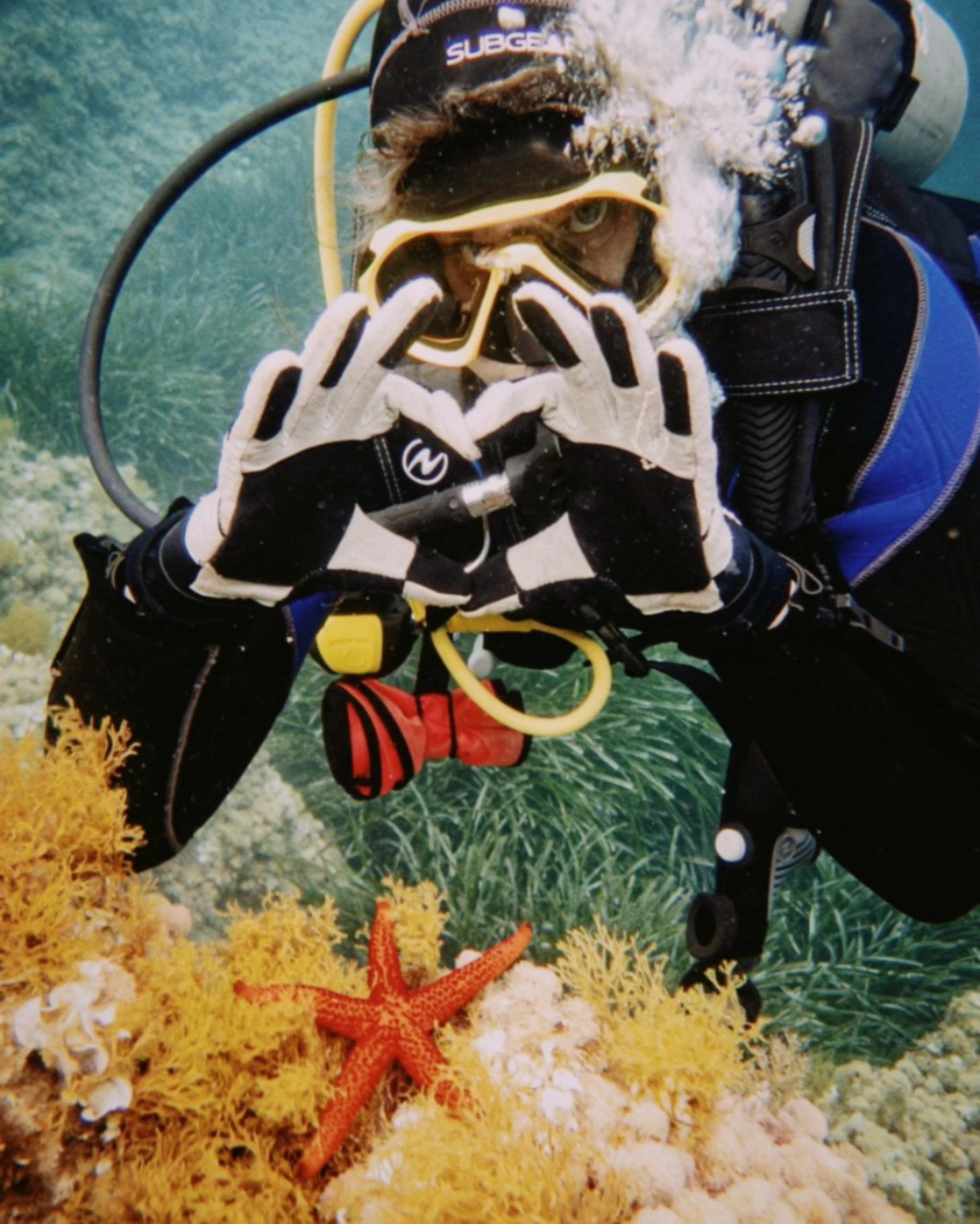 Starfish "walk" using hundreds of tiny tube feet on their underside! 🐾 These little feet not only help them move gracefully across the ocean floor&mdash;they also help them hold hands (well, arms) with other starfish during spawning. Ocean