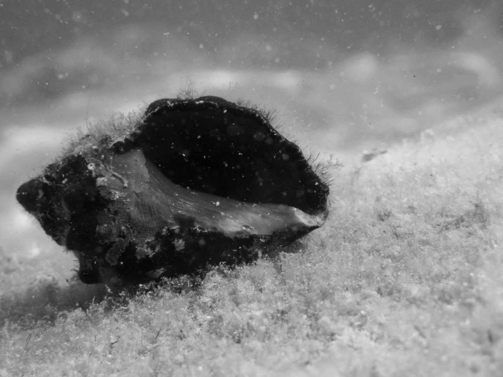 WhatsApp Image 2026-04-25 at 12.52.29 (2).jpeg