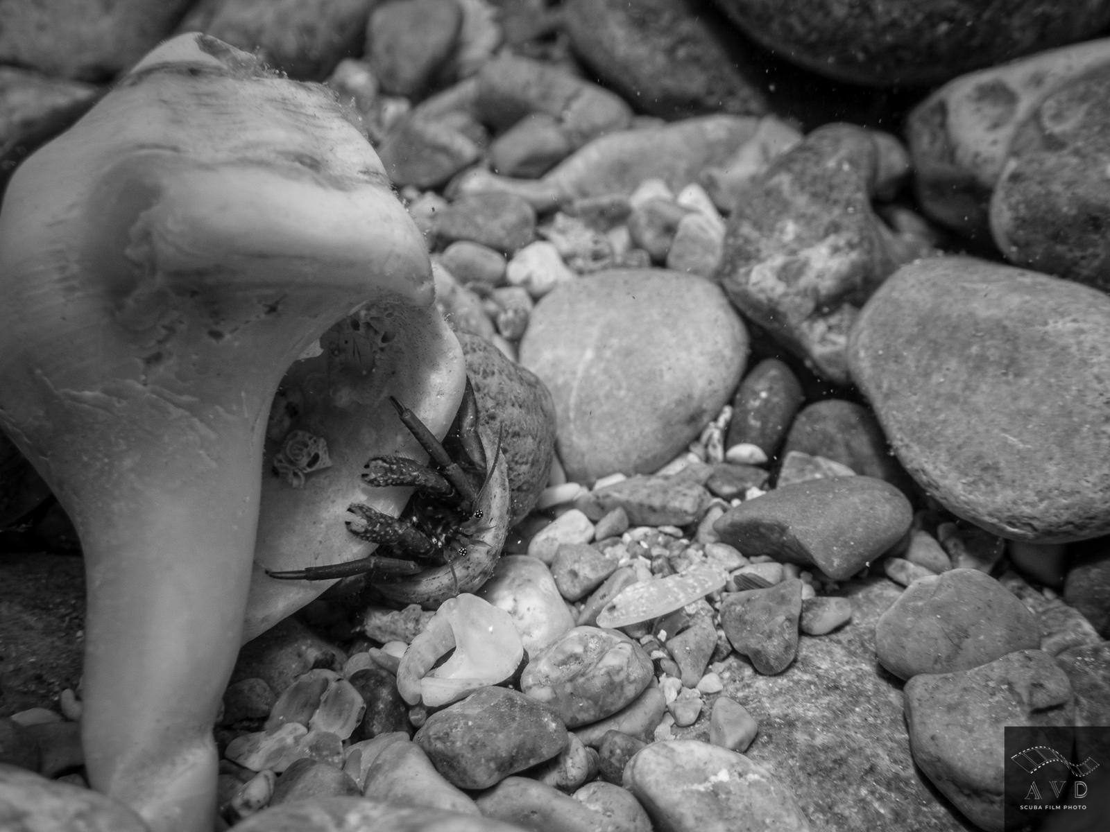 WhatsApp Image 2026-04-25 at 12.52.29 (3).jpeg