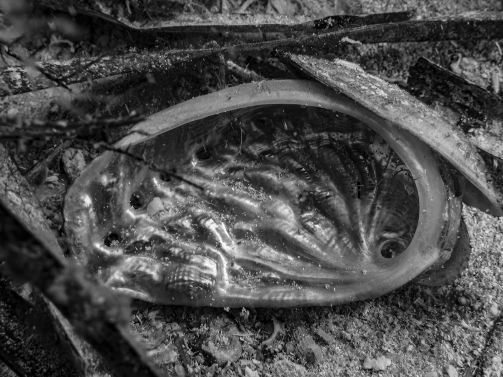 WhatsApp Image 2026-04-25 at 12.52.29 (4).jpeg