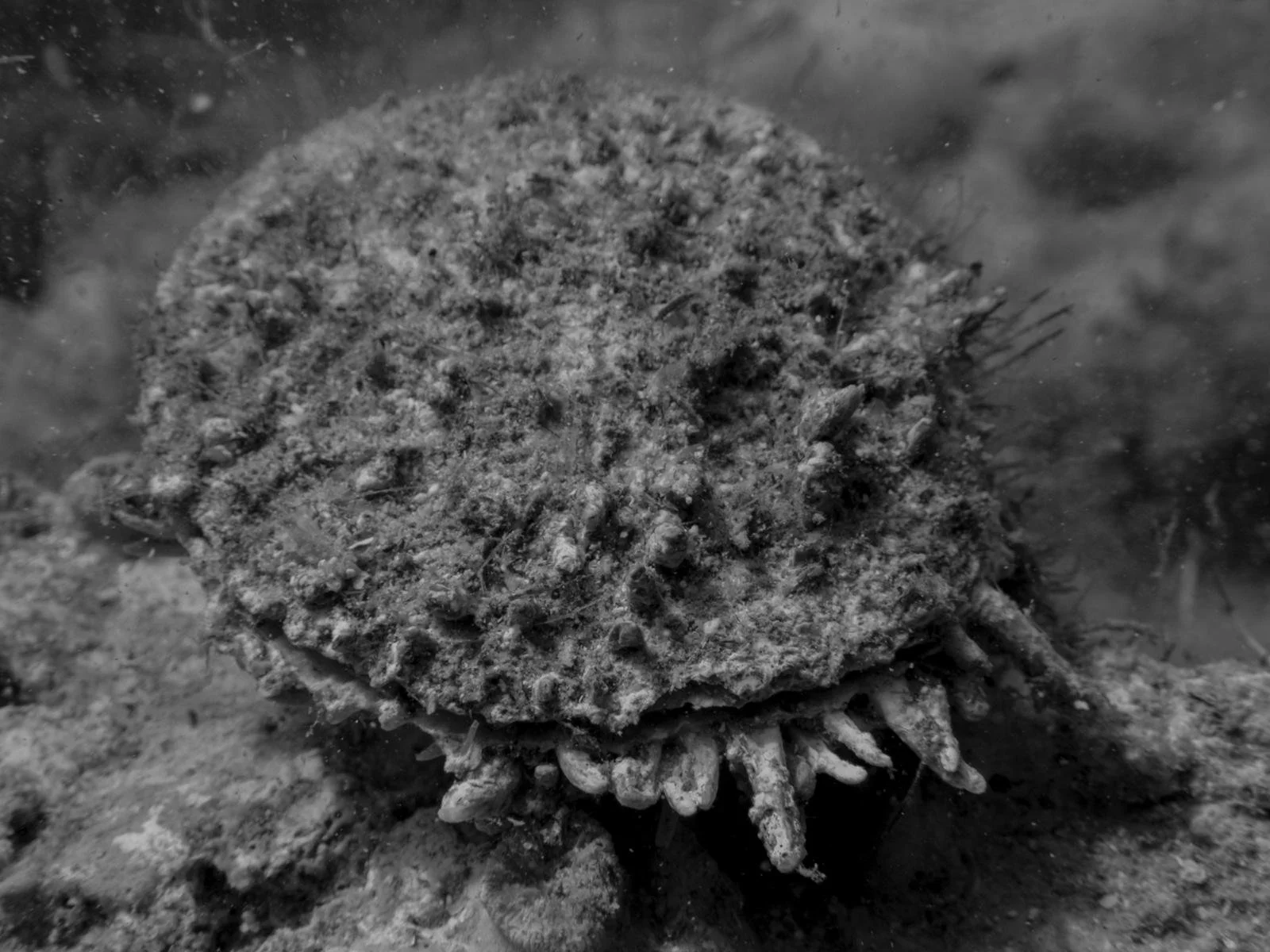 WhatsApp Image 2026-04-25 at 12.52.29 (5).jpeg