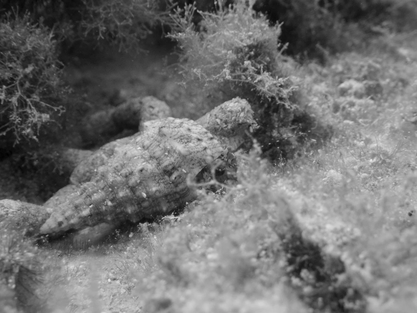 WhatsApp Image 2026-04-25 at 12.52.29.jpeg