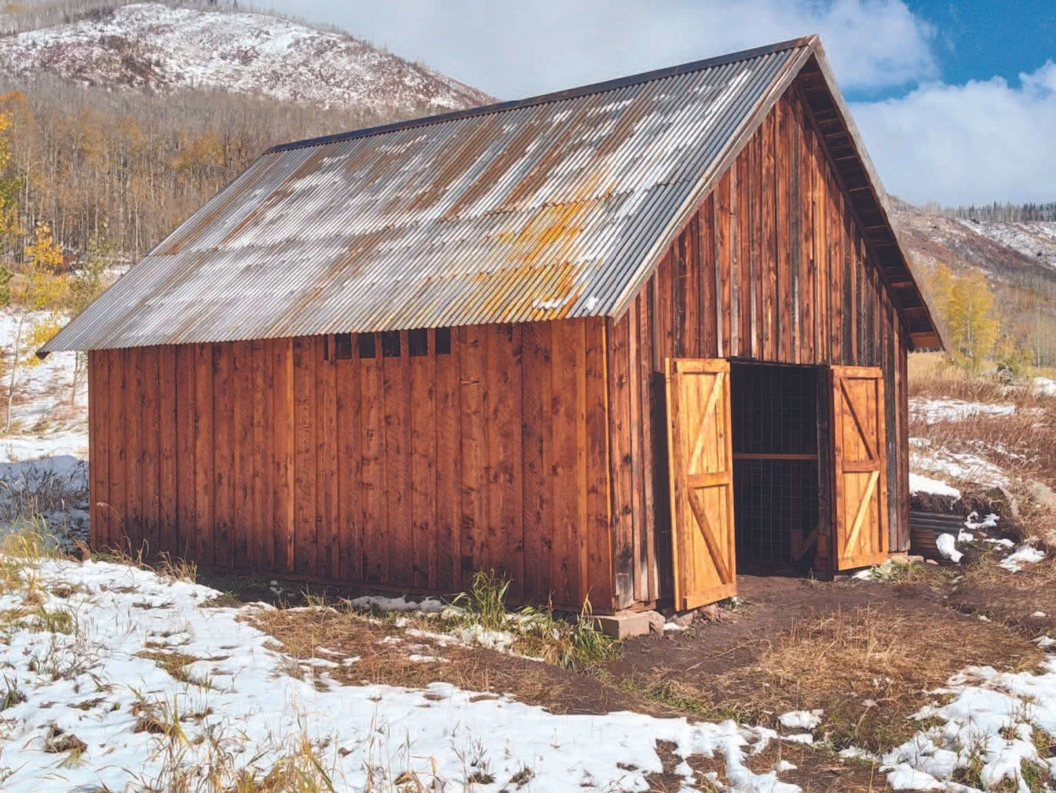 Phase 1  |  Shop stabilized and preserved