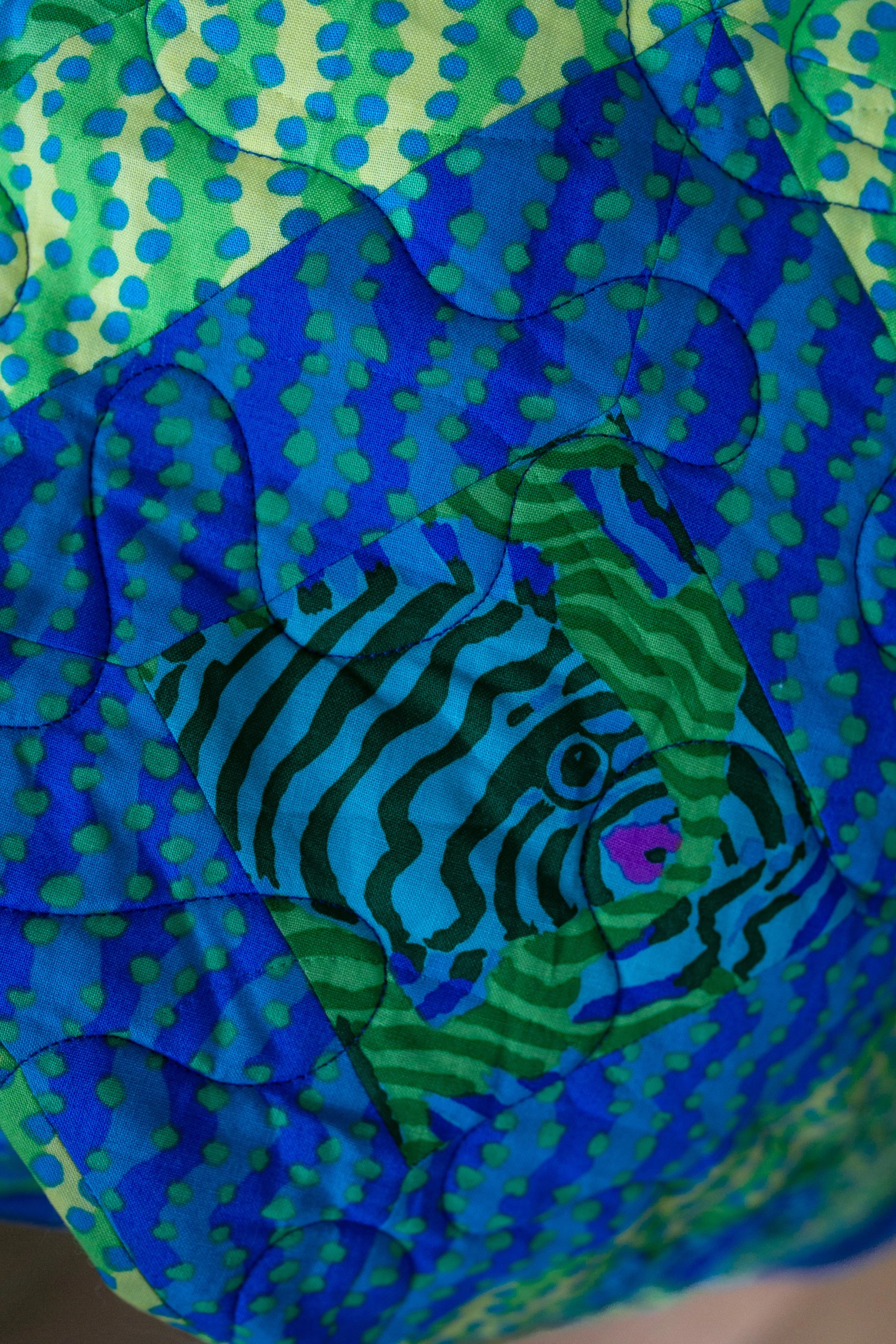 Minnows on point close up.jpg