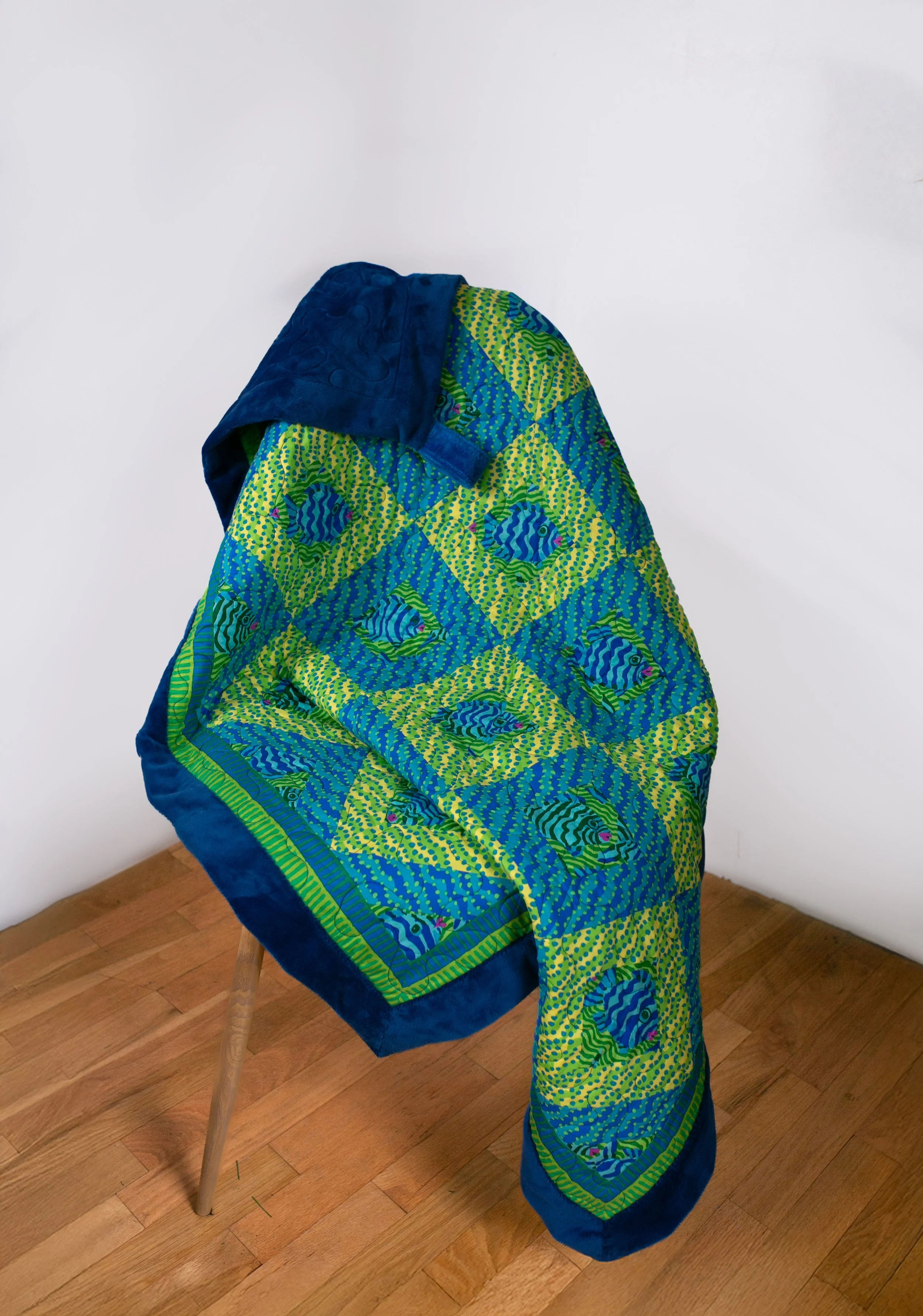 Minnows on point draped.jpg