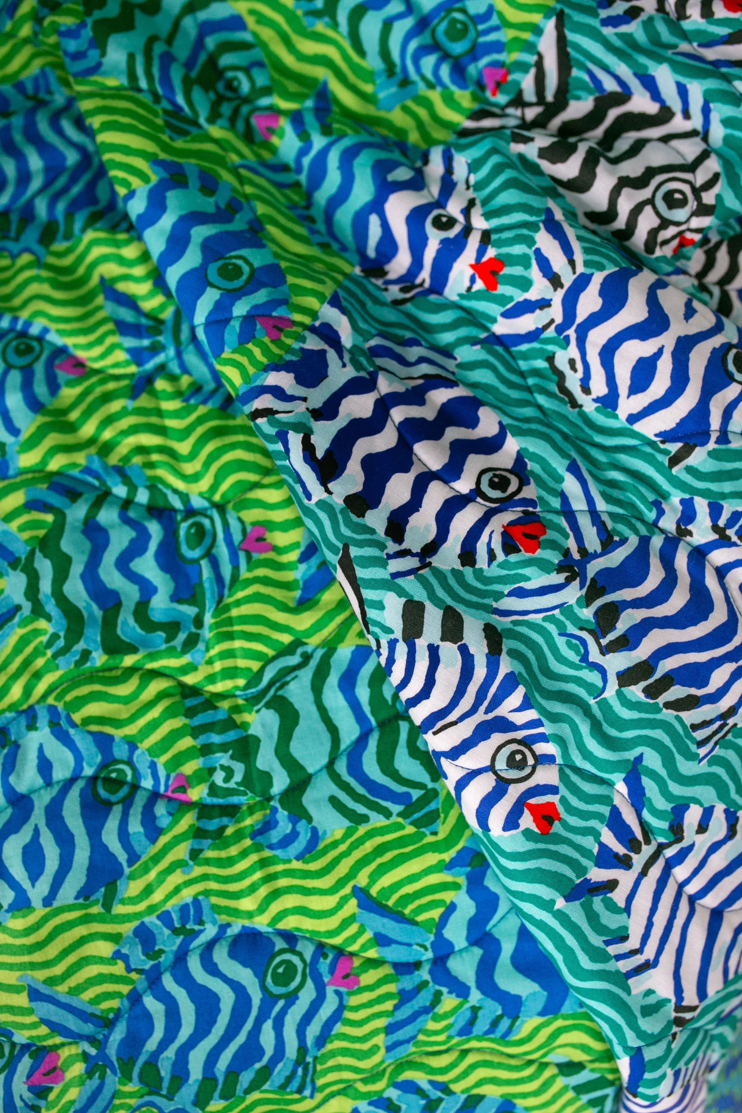 Minnows close-up 3.jpg