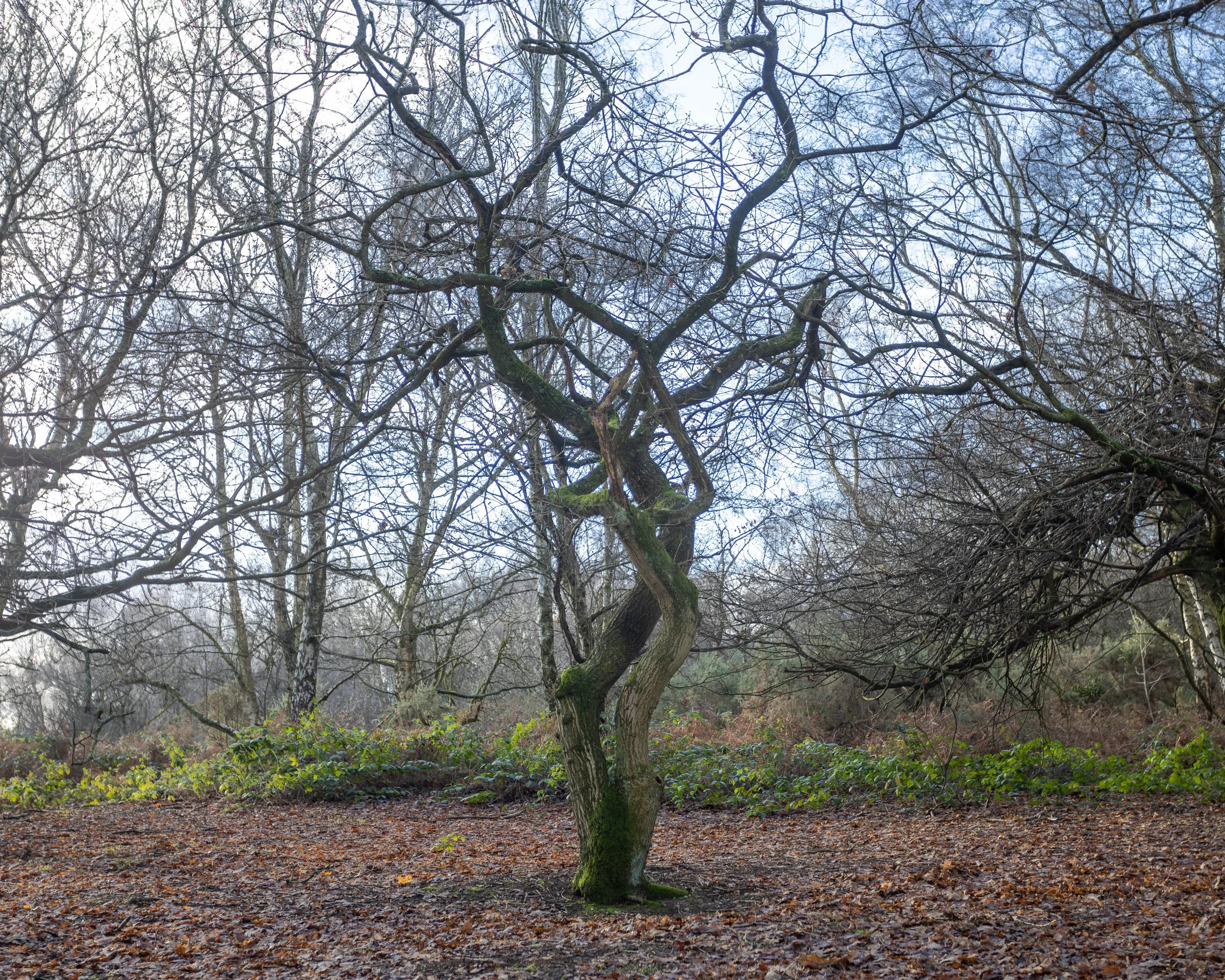 1-2-1 Beginners Photography Workshop - 8th February 2026