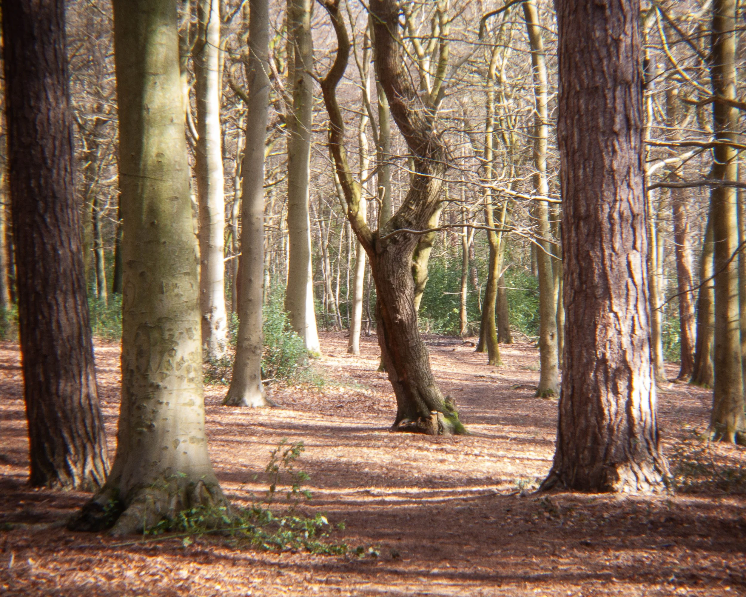 1-2-1 Beginners Photography Workshop - 8th March 2026