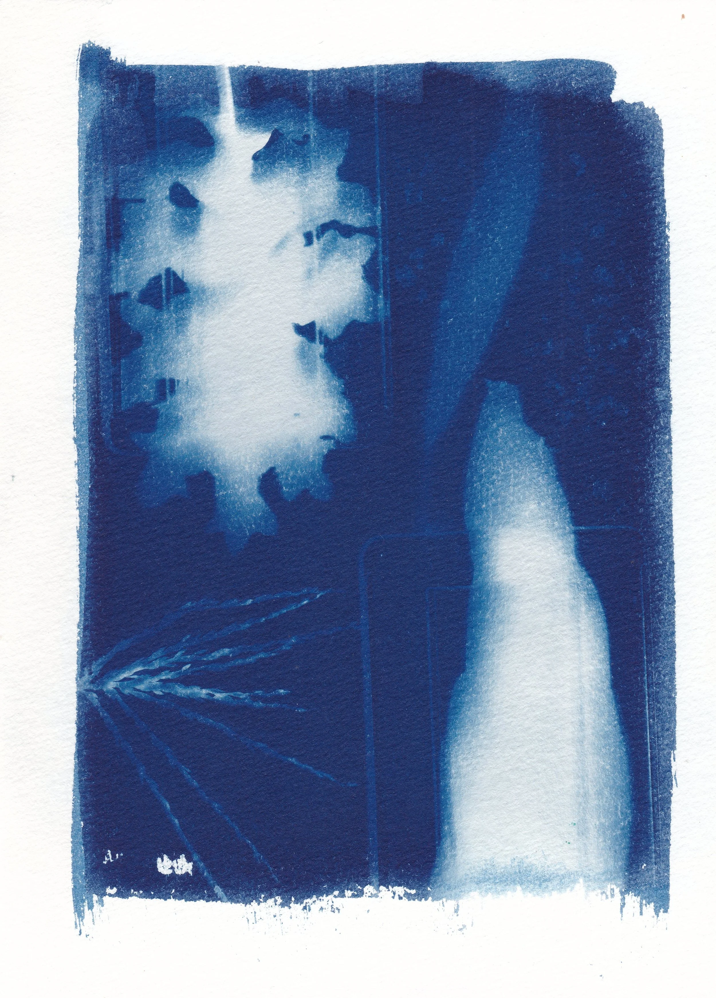 Transit // cyanotype on 300 gsm hot-pressed watercolor paper, 14.8 x 21 cm, 2025