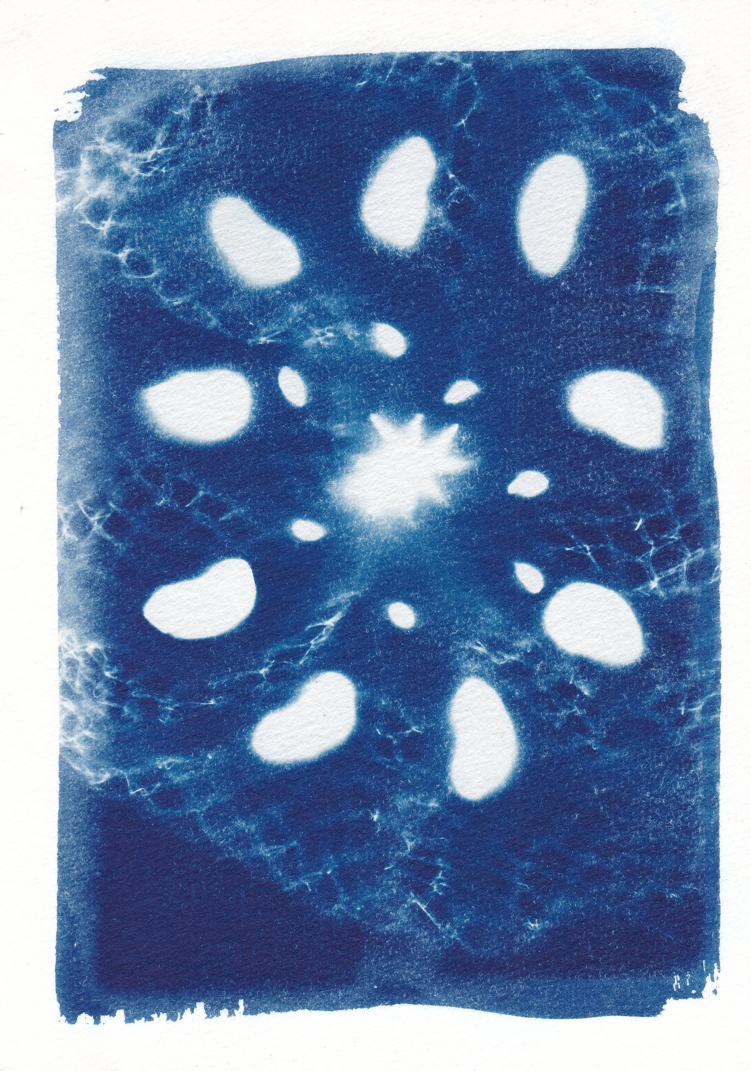 Catch // cyanotype on 300gsm hot-pressed watercolor paper, 14.8 x 21 cm, 2025