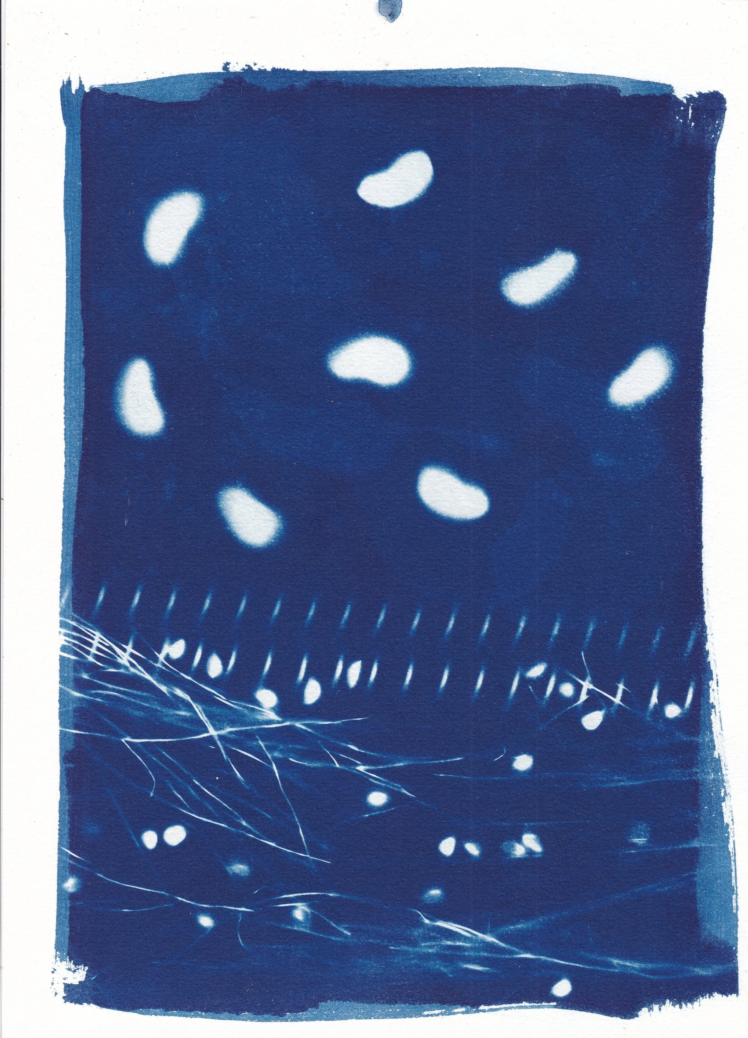 Current // cyanotype on 300gsm watercolor paper, 21 x 29.7 cm, 2025