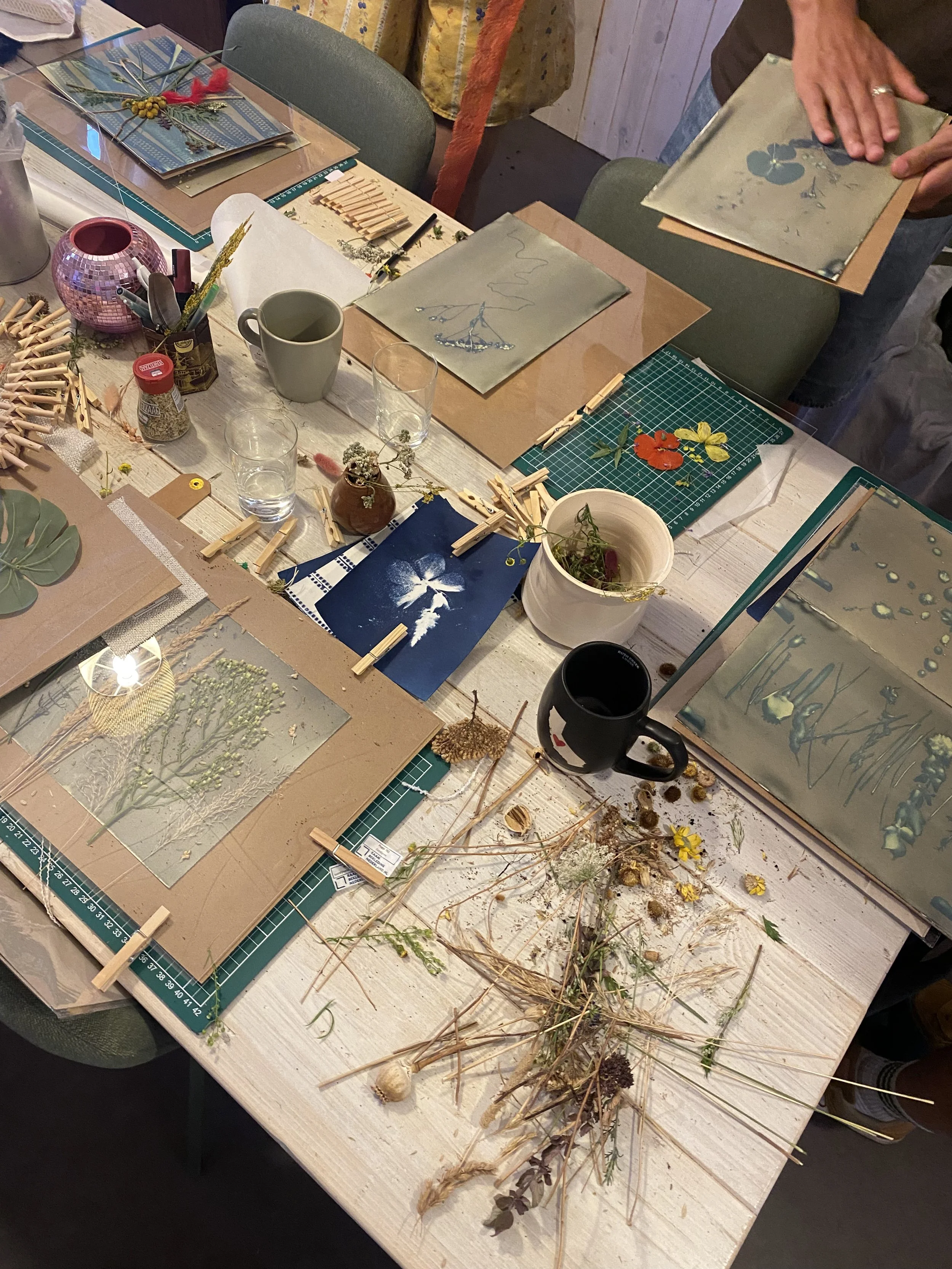 mini cyanotyping 101 (quick intro to cyanotype printing) [friday, september 11th]