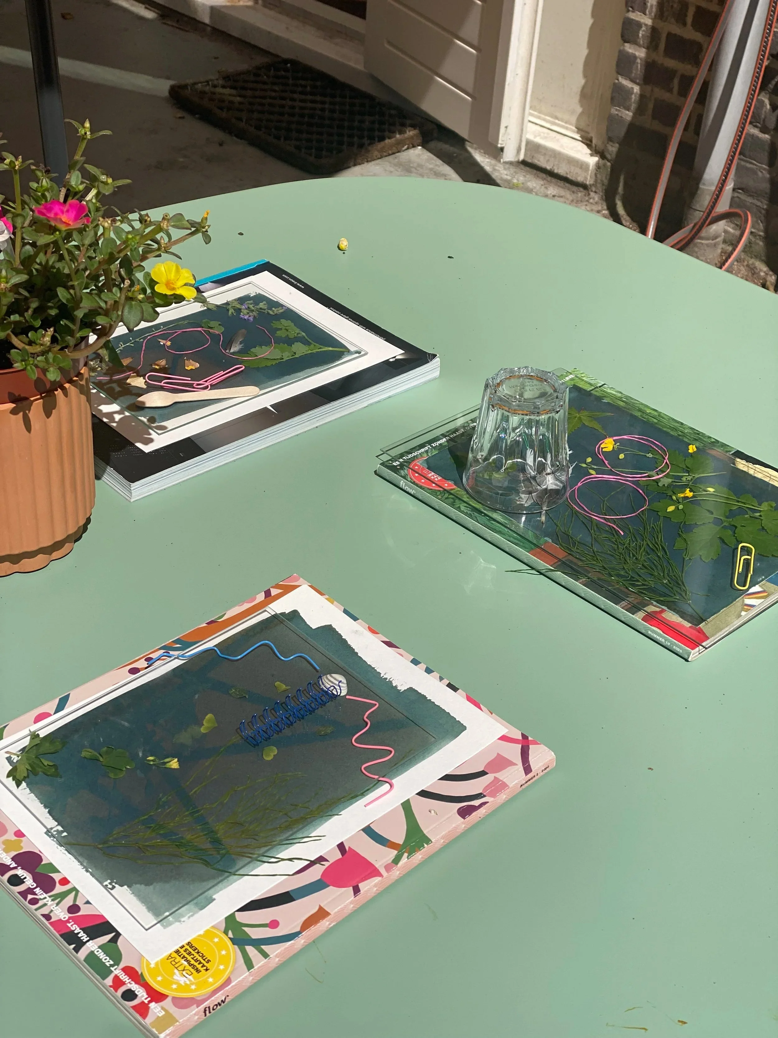 cyanotyping 101 (intro to cyanotype printing) [saturday, july 11th]