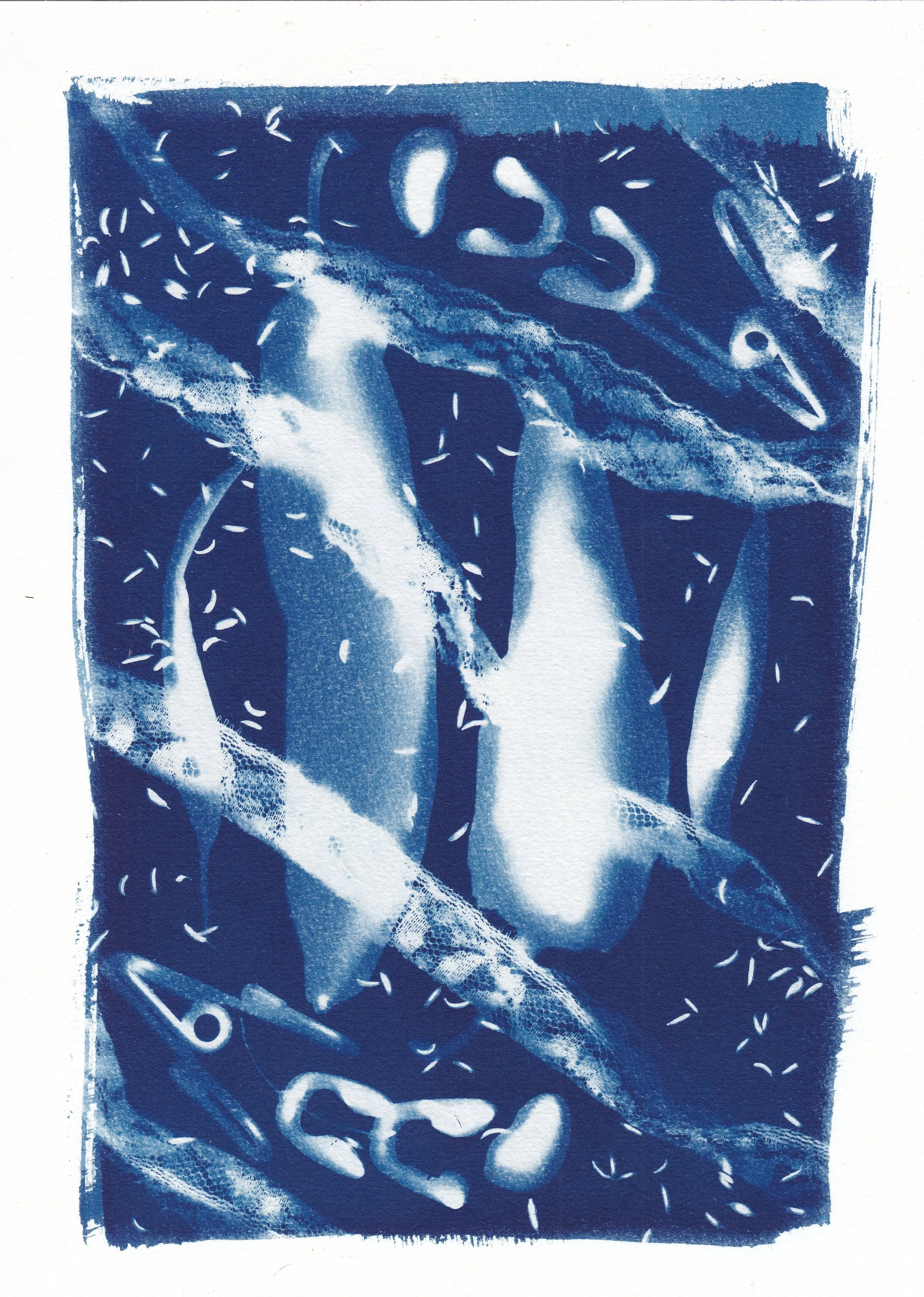 Mimic // cyanotype on 300gsm hot-pressed watercolor paper, 21 x 29.7 cm, 2025