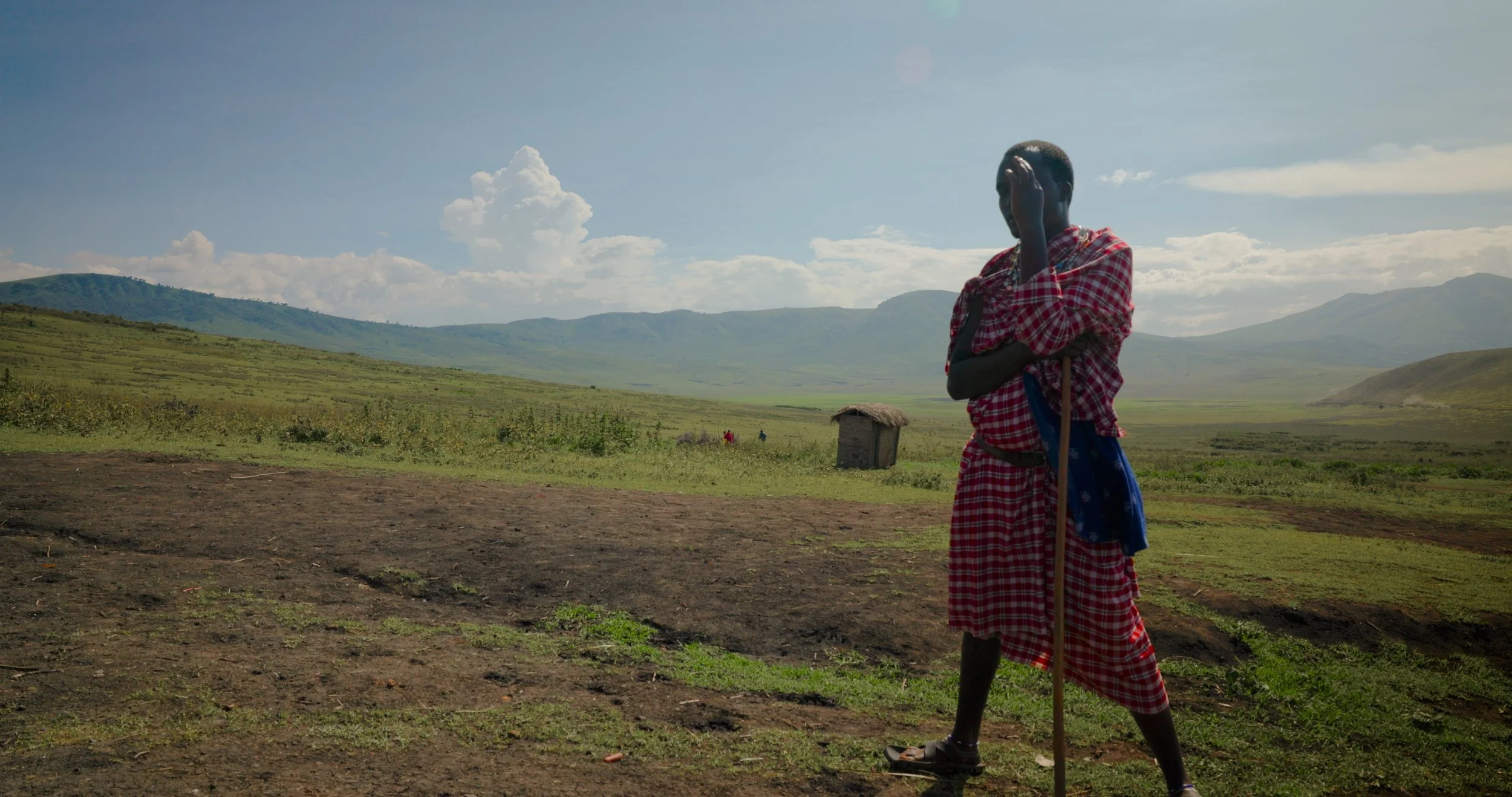 thumbnail for backround.jpeg