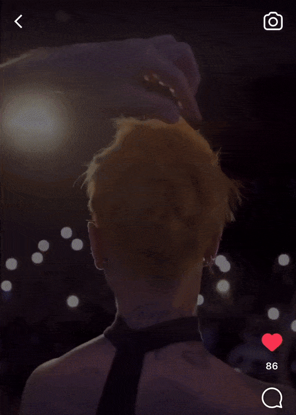 lights compressed.gif