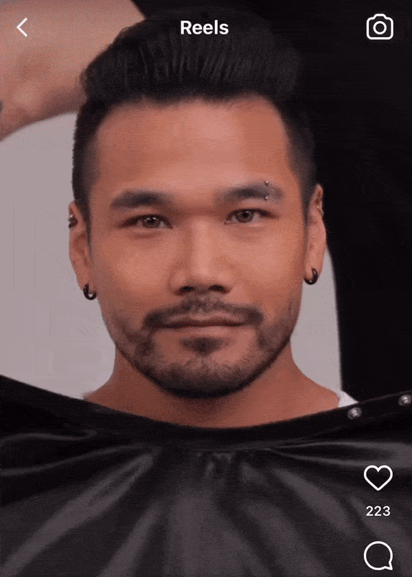 hawk compressed.gif