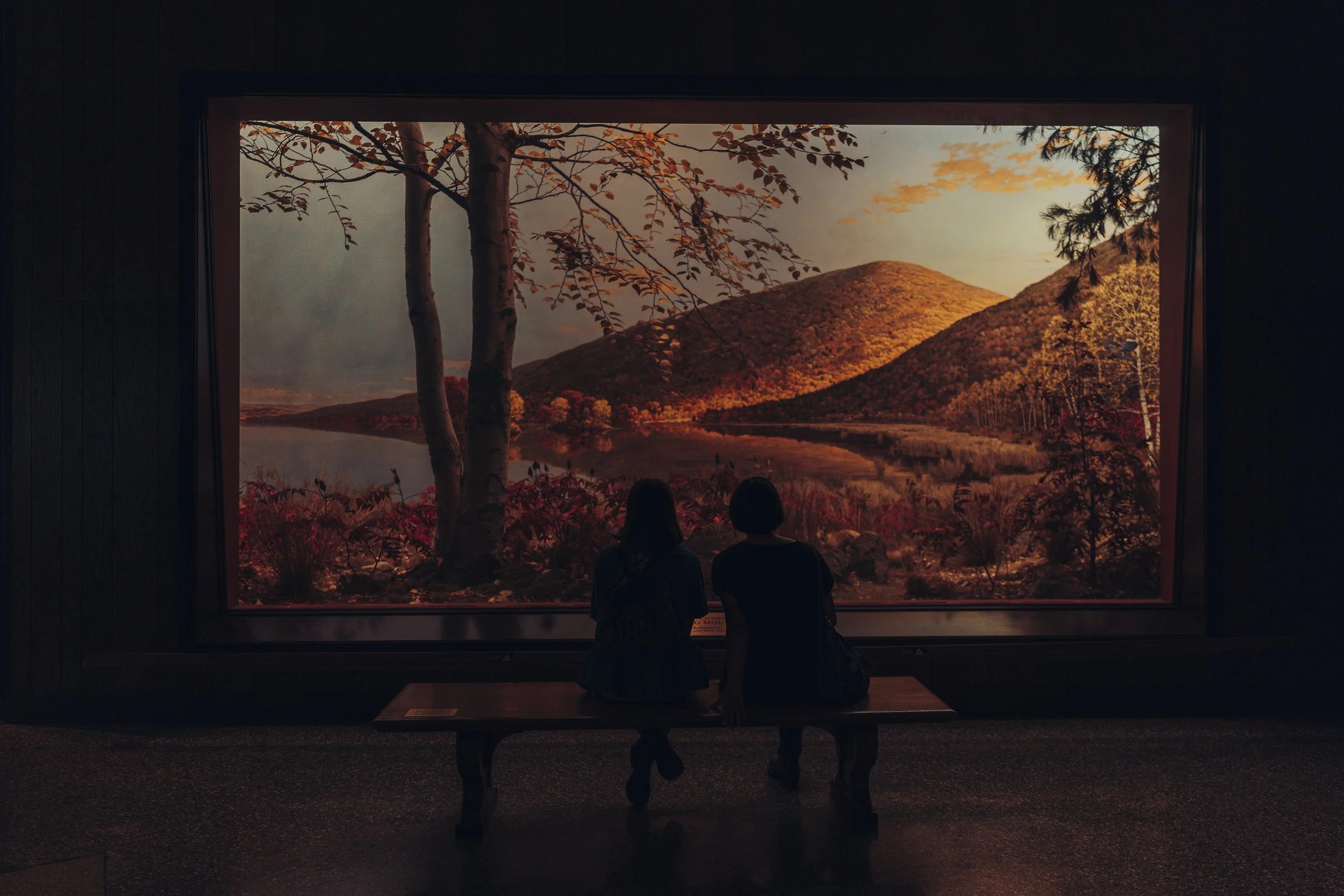 Only Through Glass - The Viewers.jpg