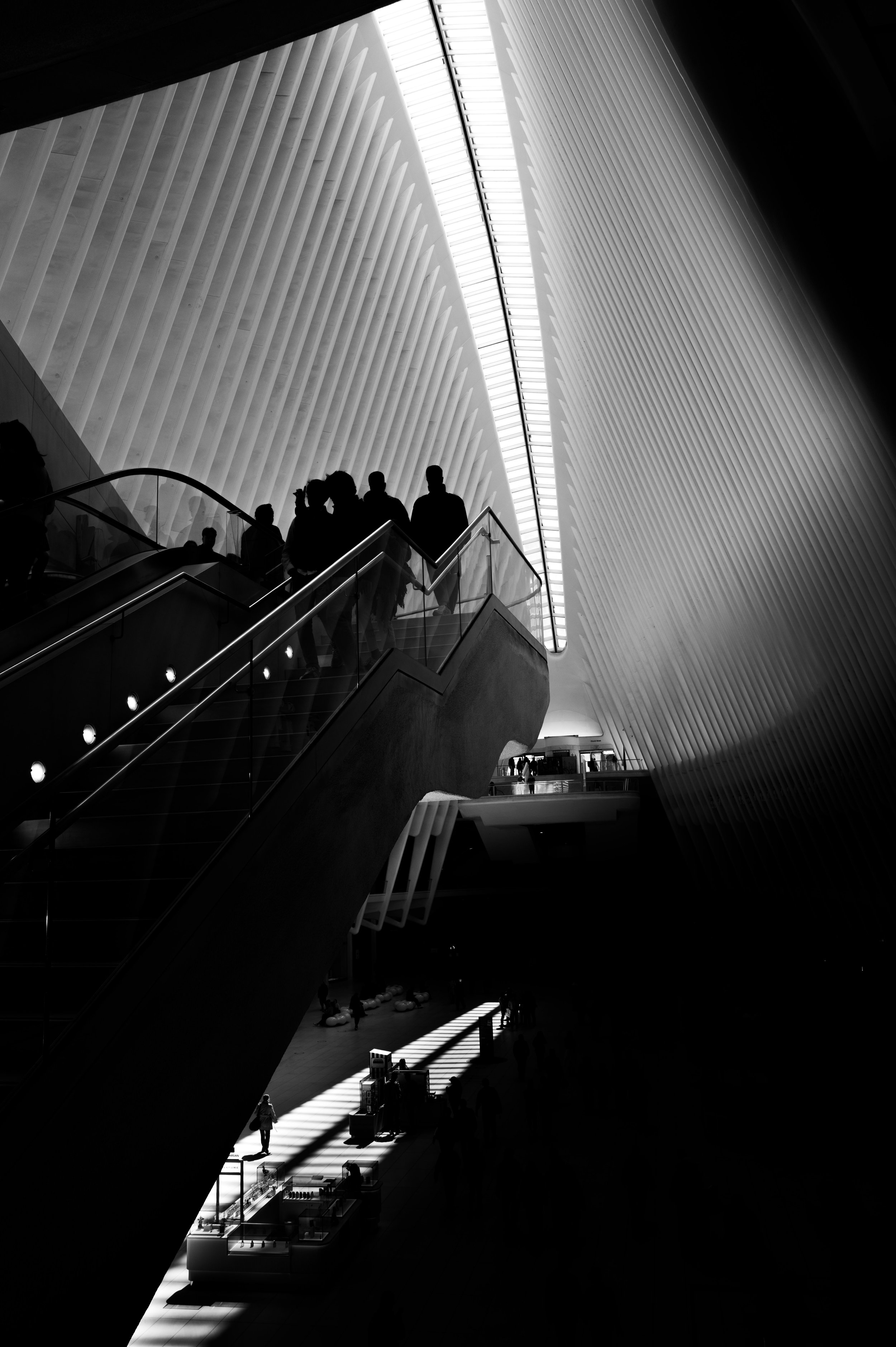 The Oculus.jpg
