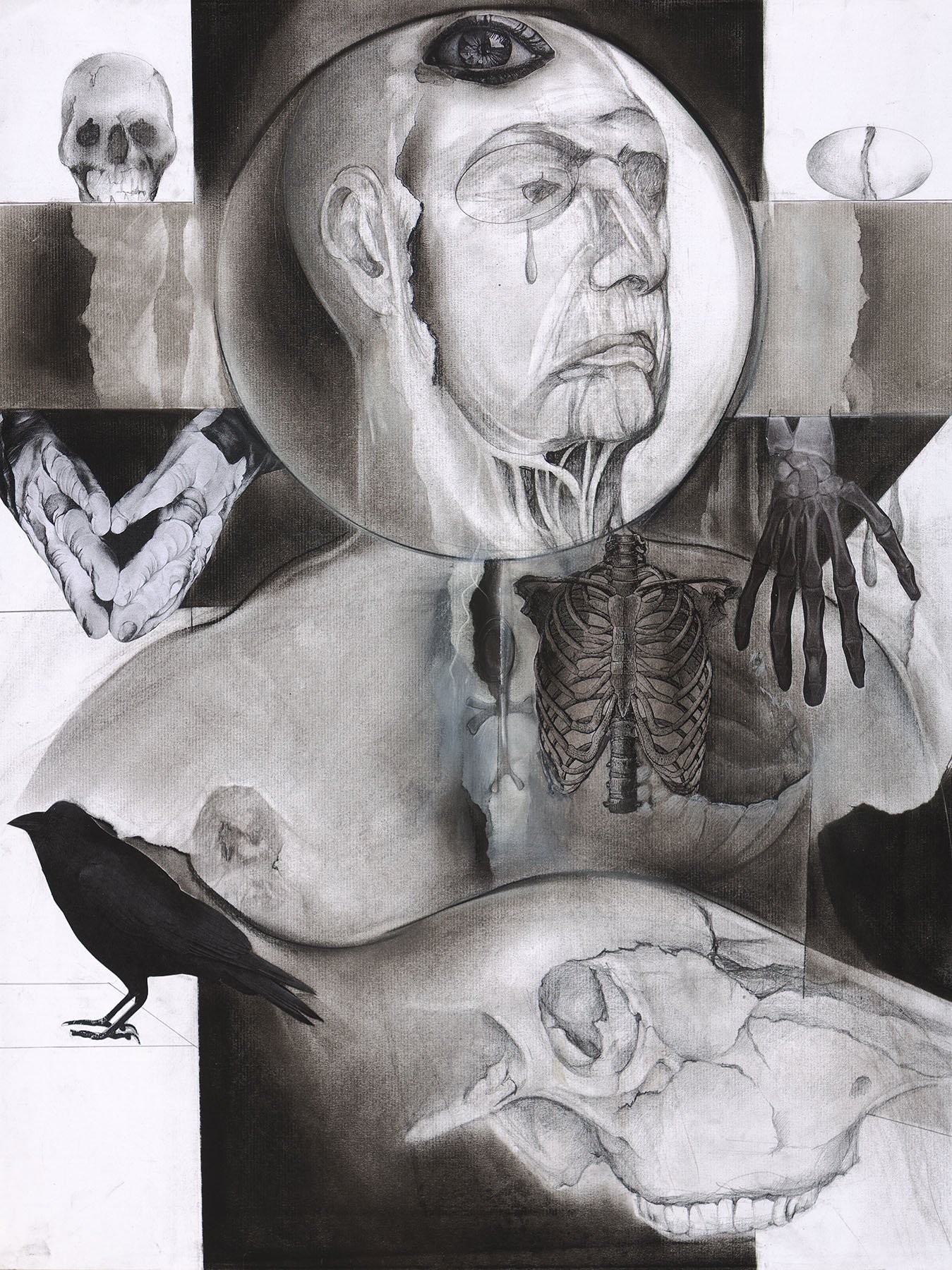 Transition - Duff.jpg