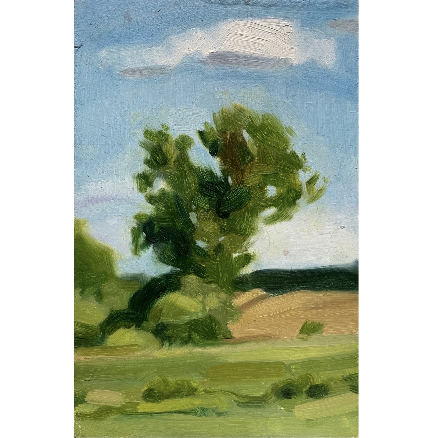 Windswept (Rising Sands I)
