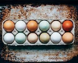 Arbour View Acres Organic Egg and Microgreens Delivery