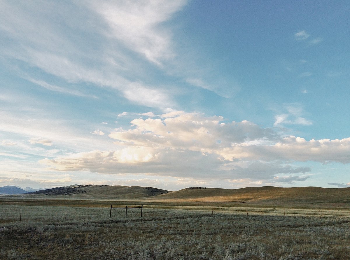 Process + Express with the Rocky Mountain Land Library!