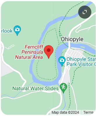 Ohiopyle State Park: Ferncliff Botany and Scenic Trails