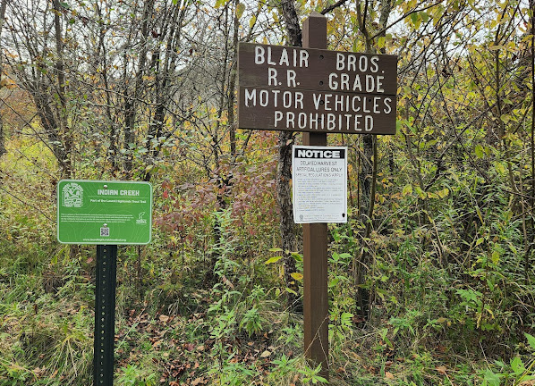 Spring Equinox Walk - Blair Brothers Railroad Trail - Woodcocks and Vernal Amphibians